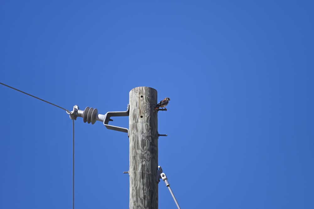 a pole with a light on it