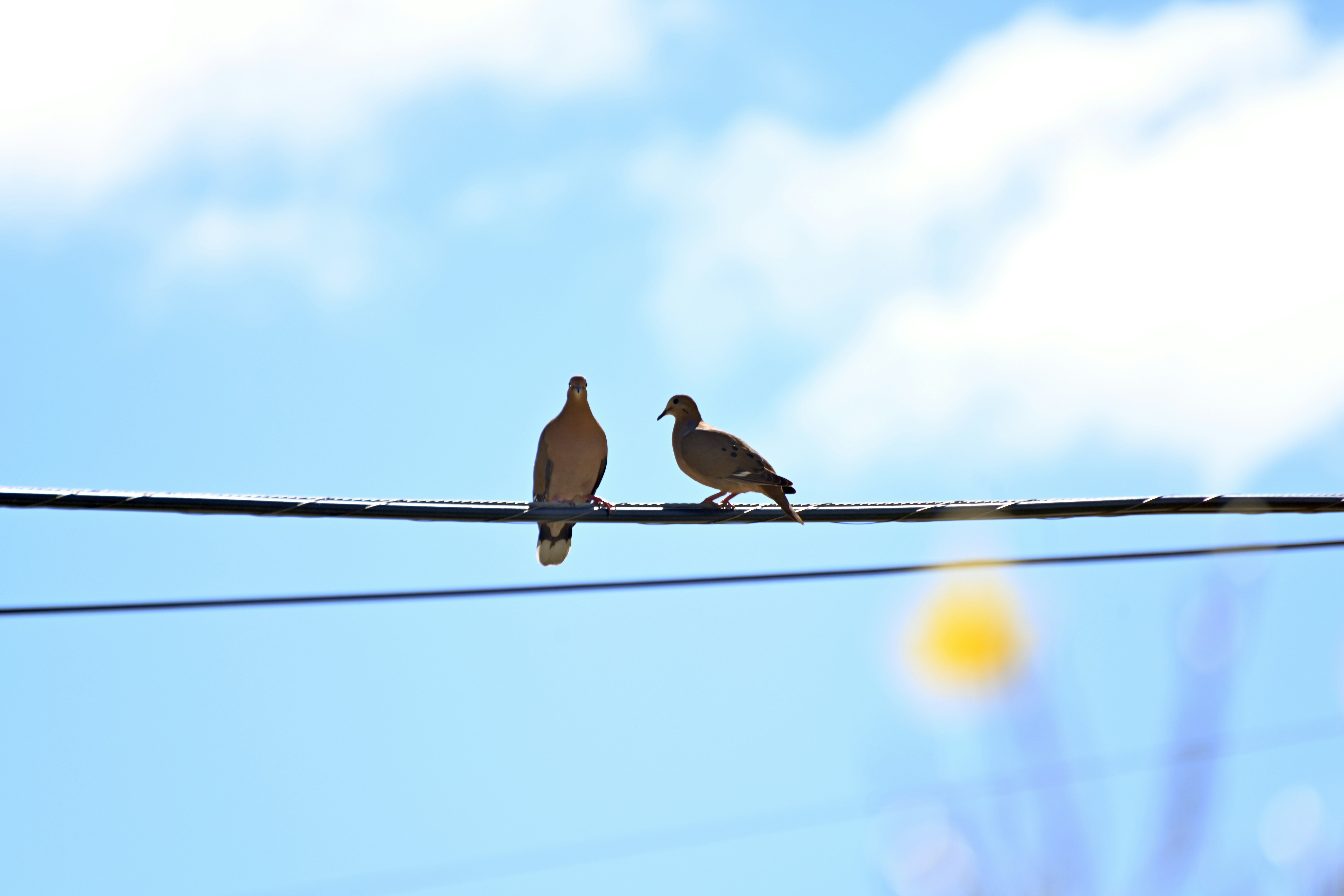 Photo by climatechangevi