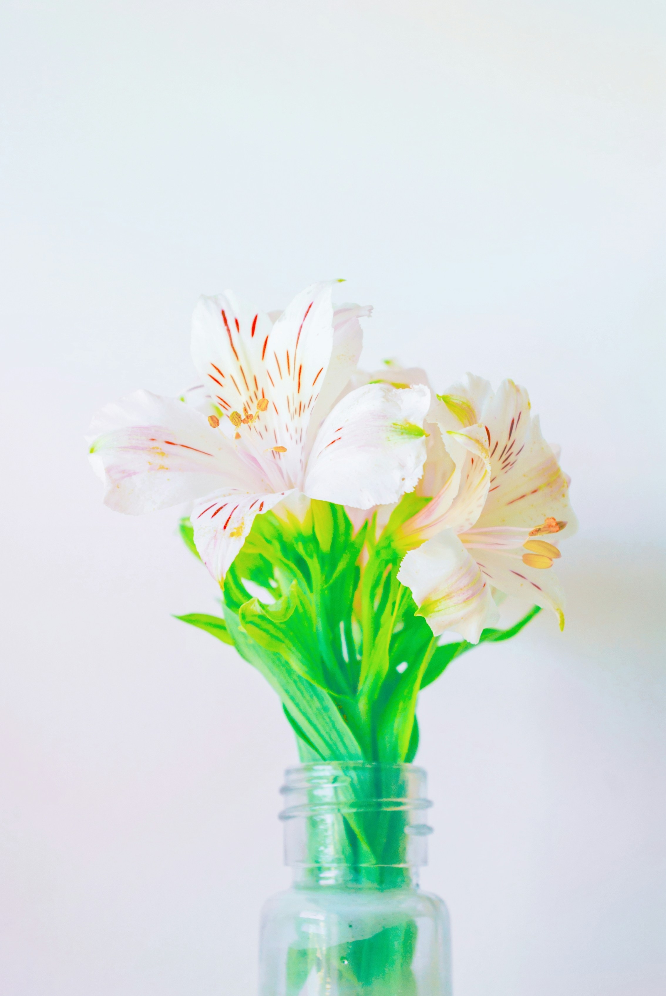 Photo by moonmoons_days