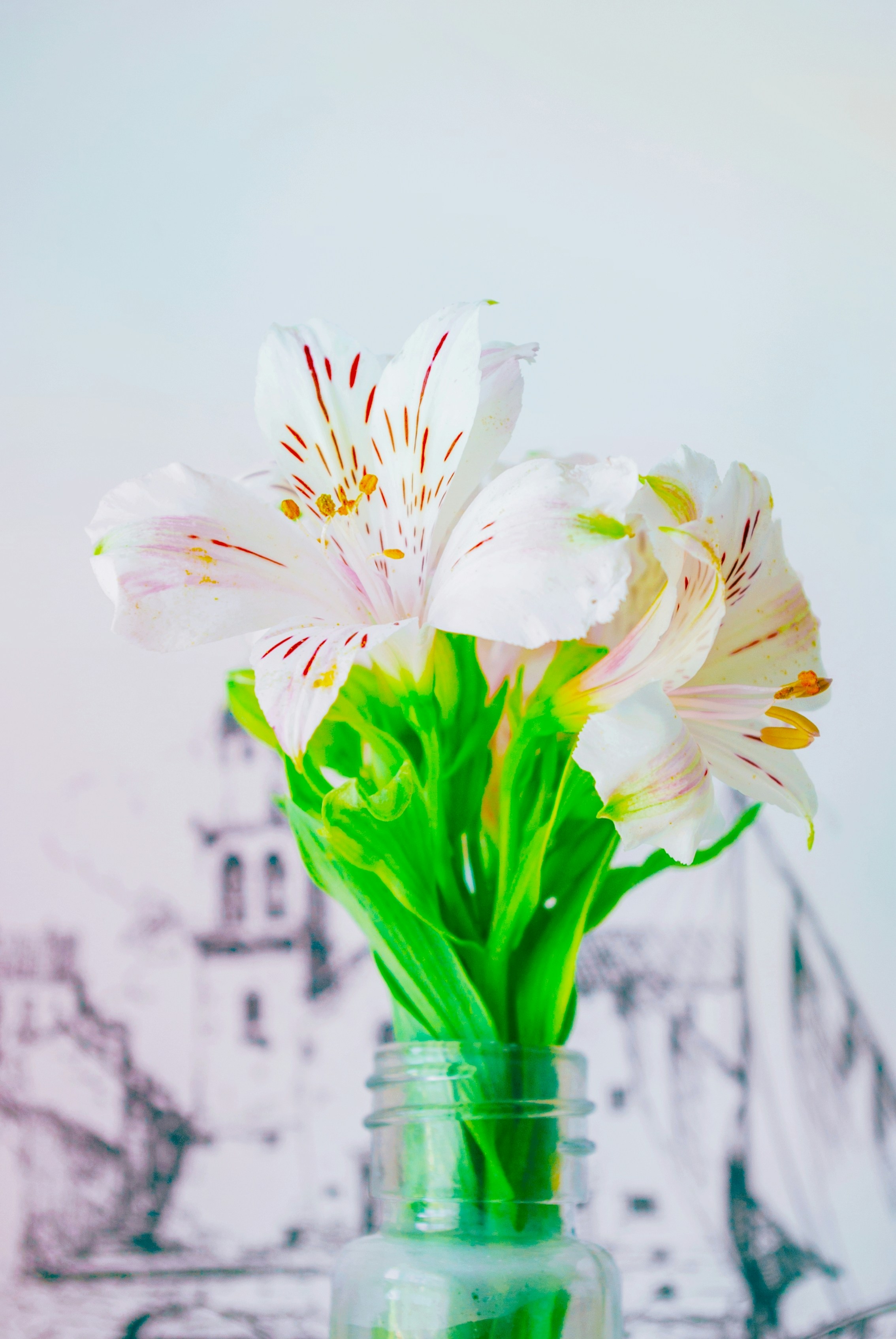 Photo by moonmoons_days