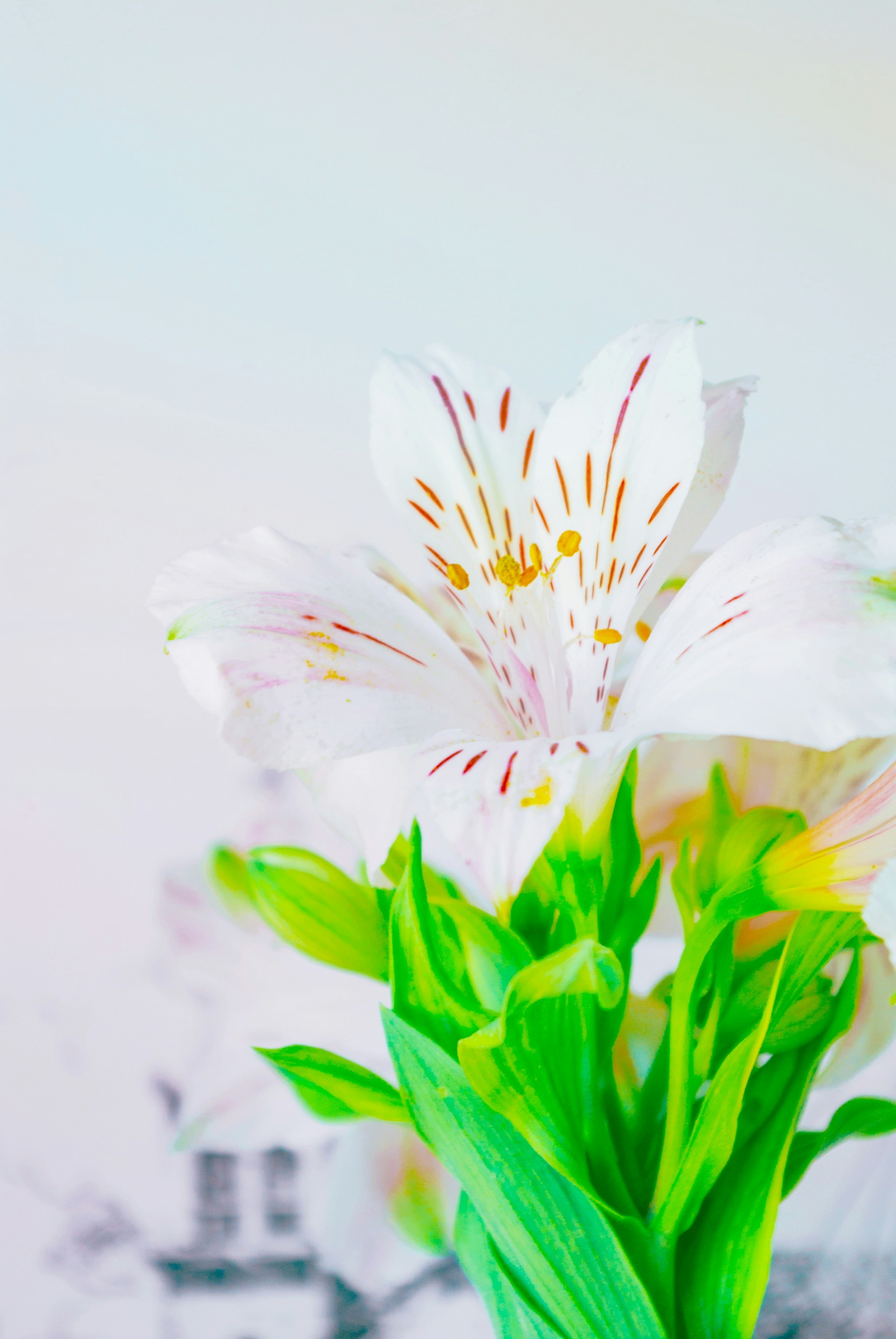 Photo by moonmoons_days