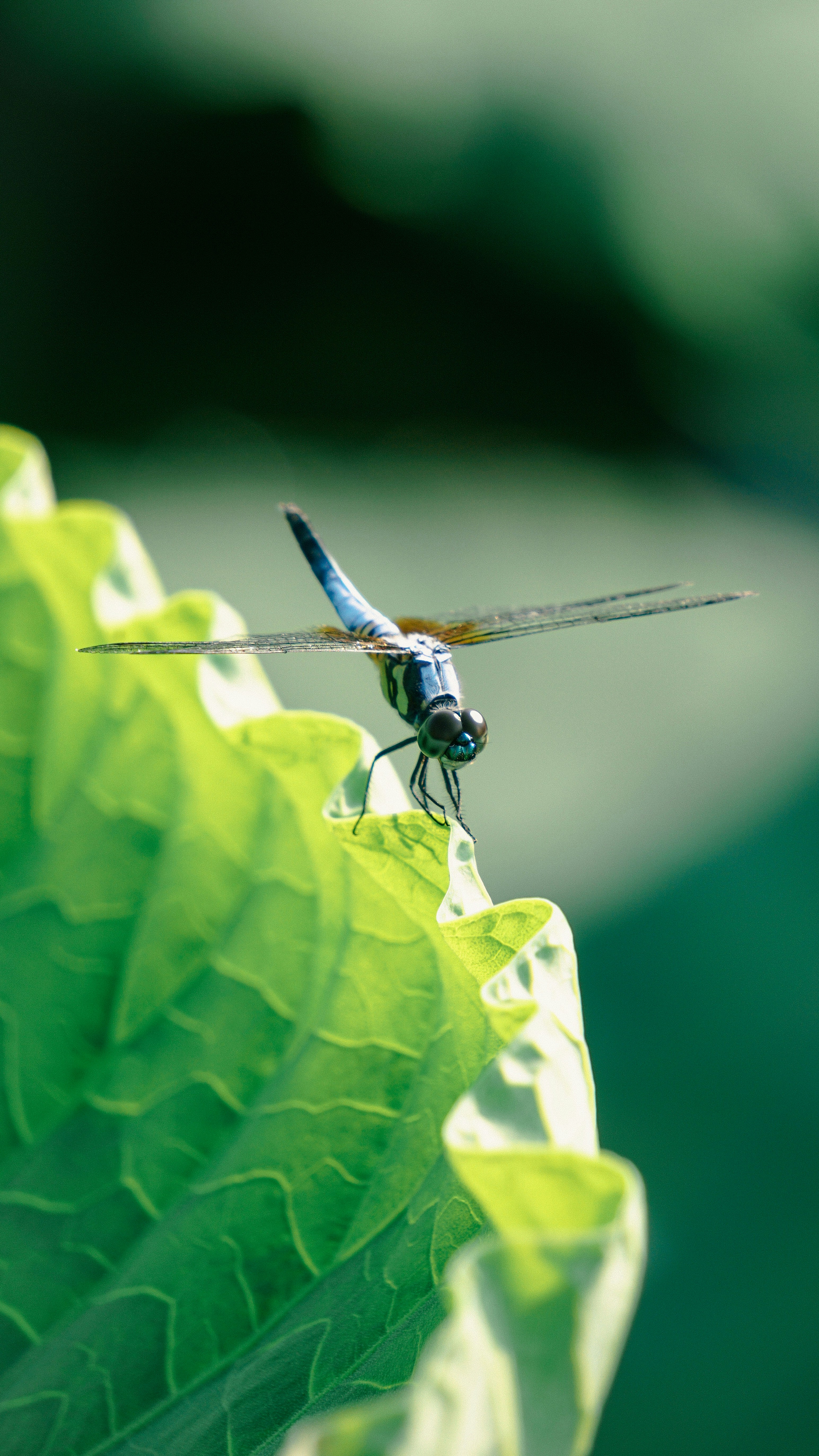 Photo by infinity947