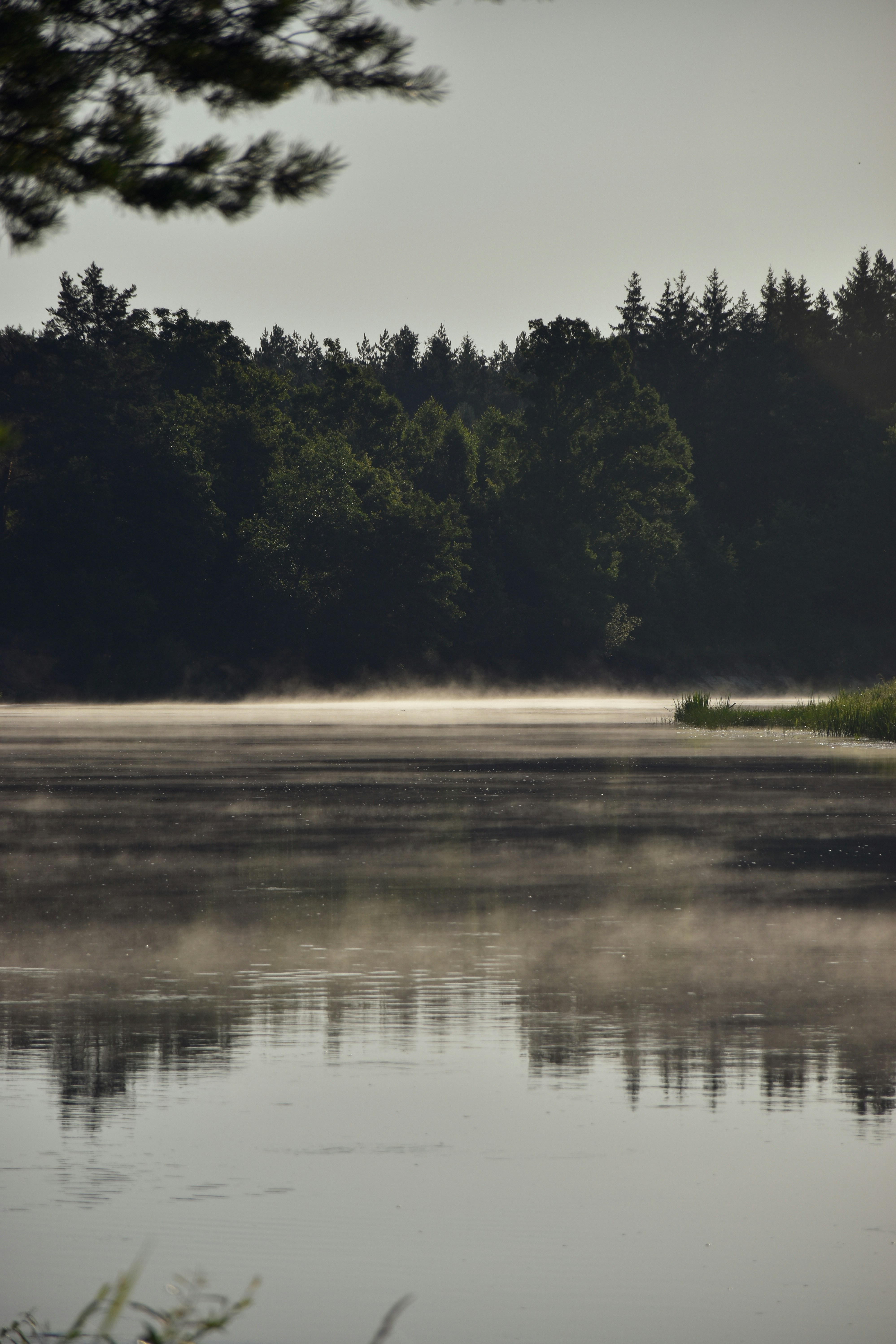 Photo by artem_makarov