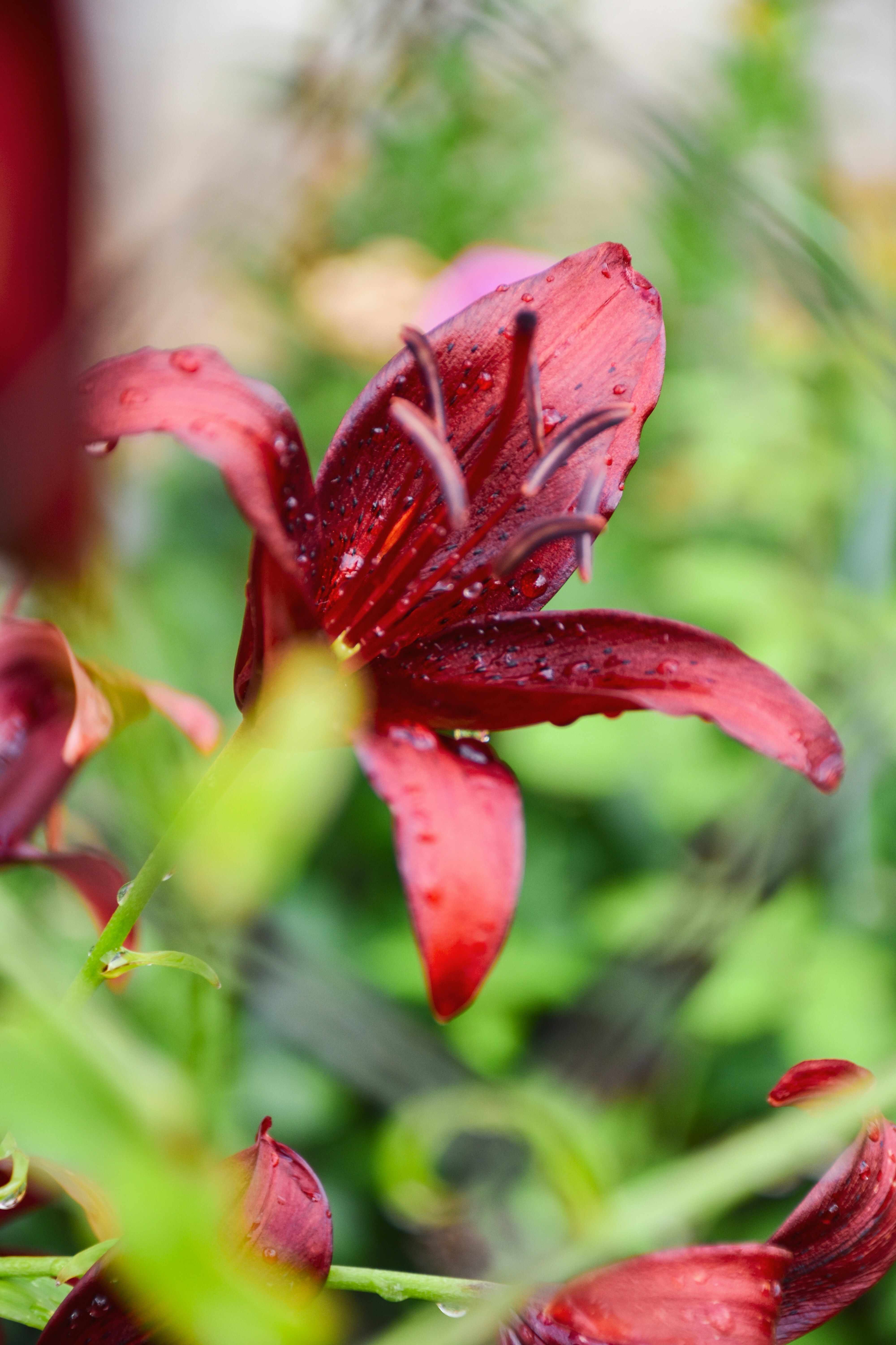 Photo by artem_makarov