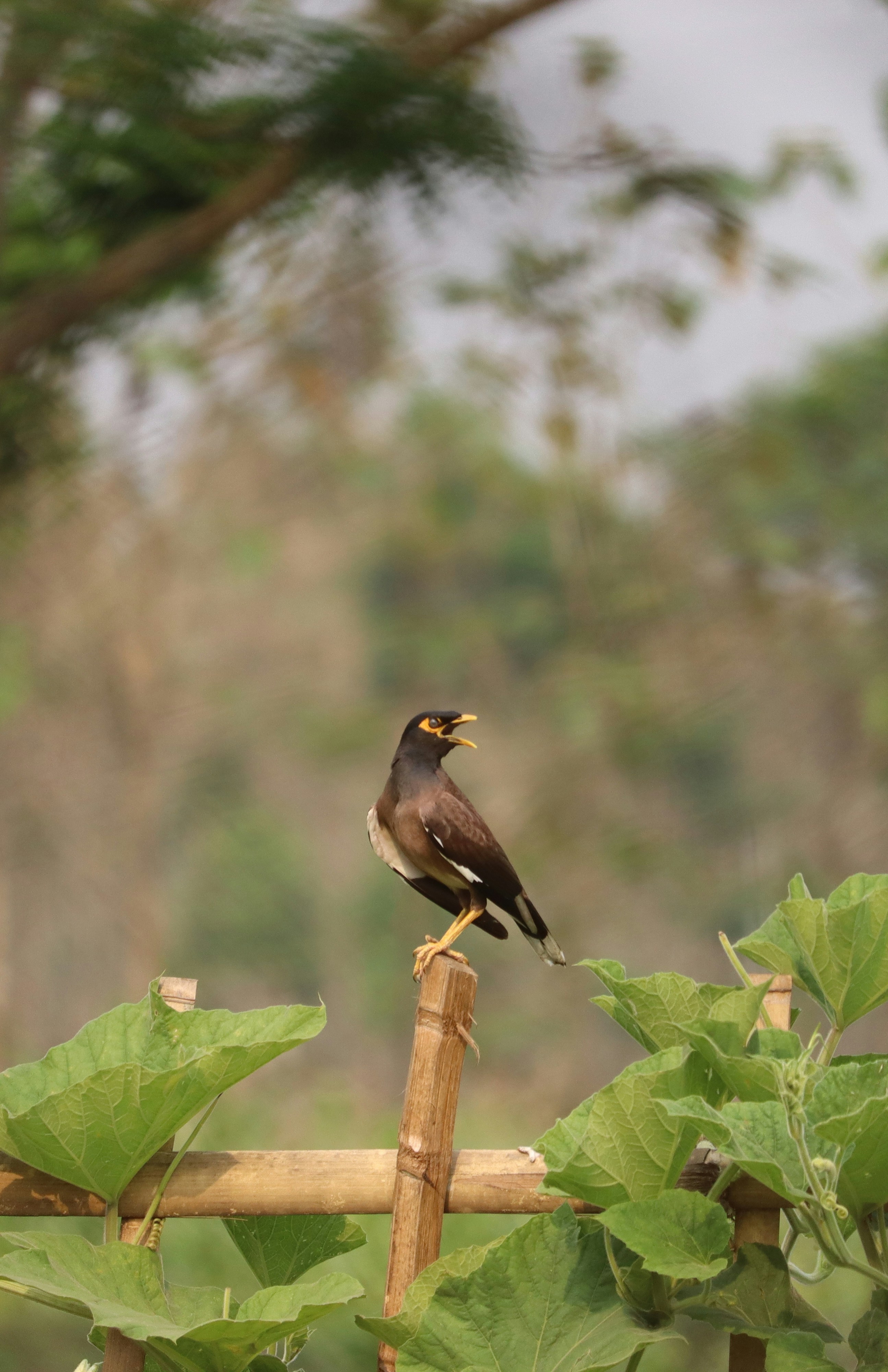 Photo by soonamwooeser