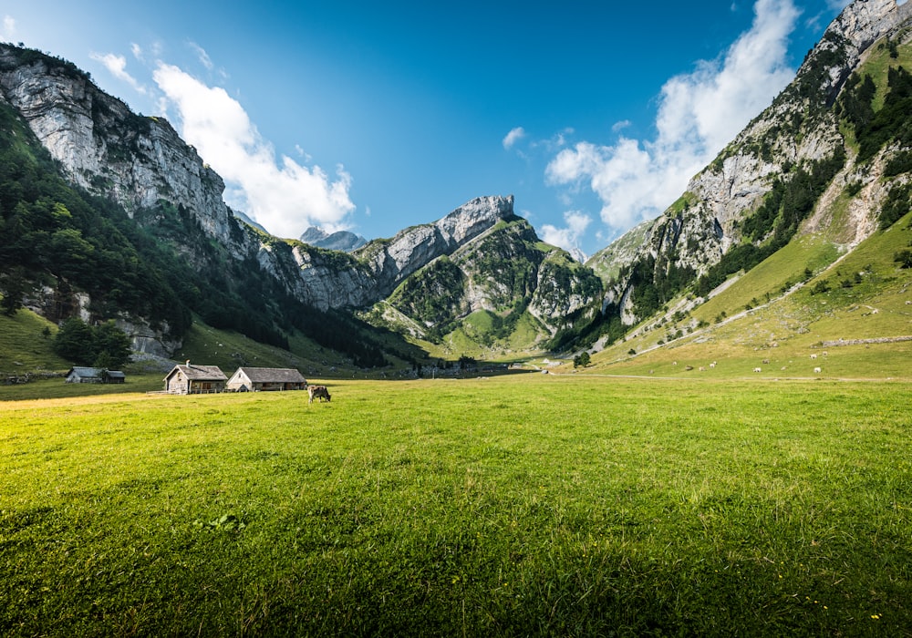 a grassy valley between mountains