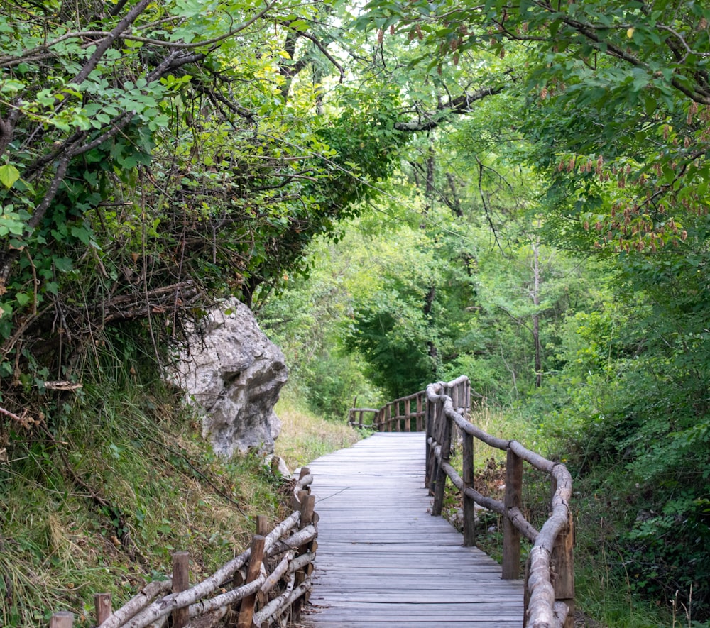 a wooden bridge in a forest