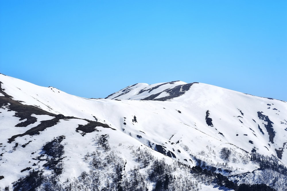 a snowy mountain with trees