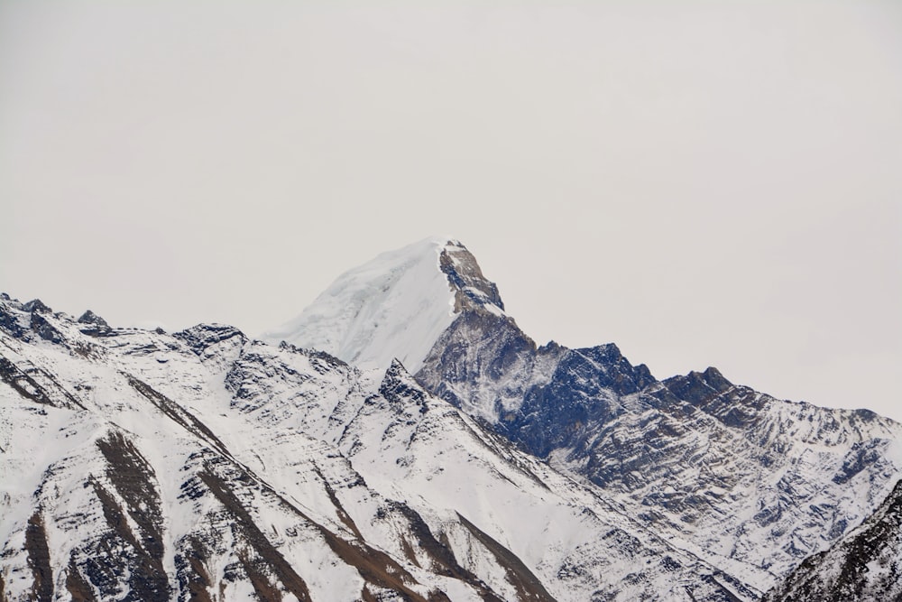 a snowy mountain with trees