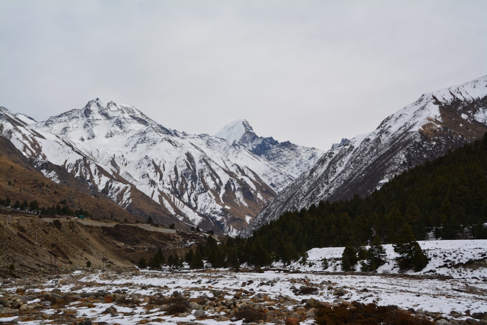 a snowy mountain landscape