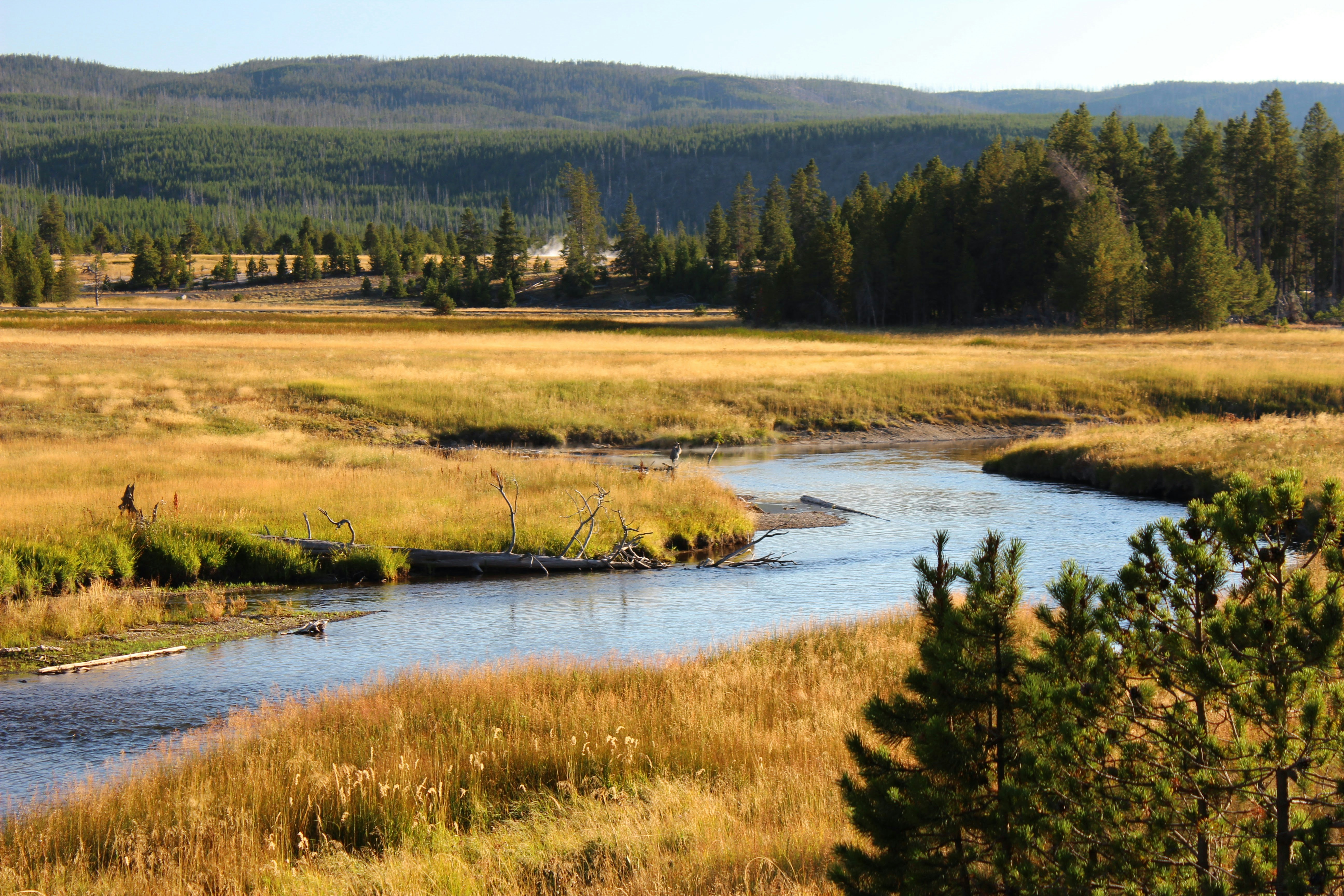 Photo by knallblaumedia