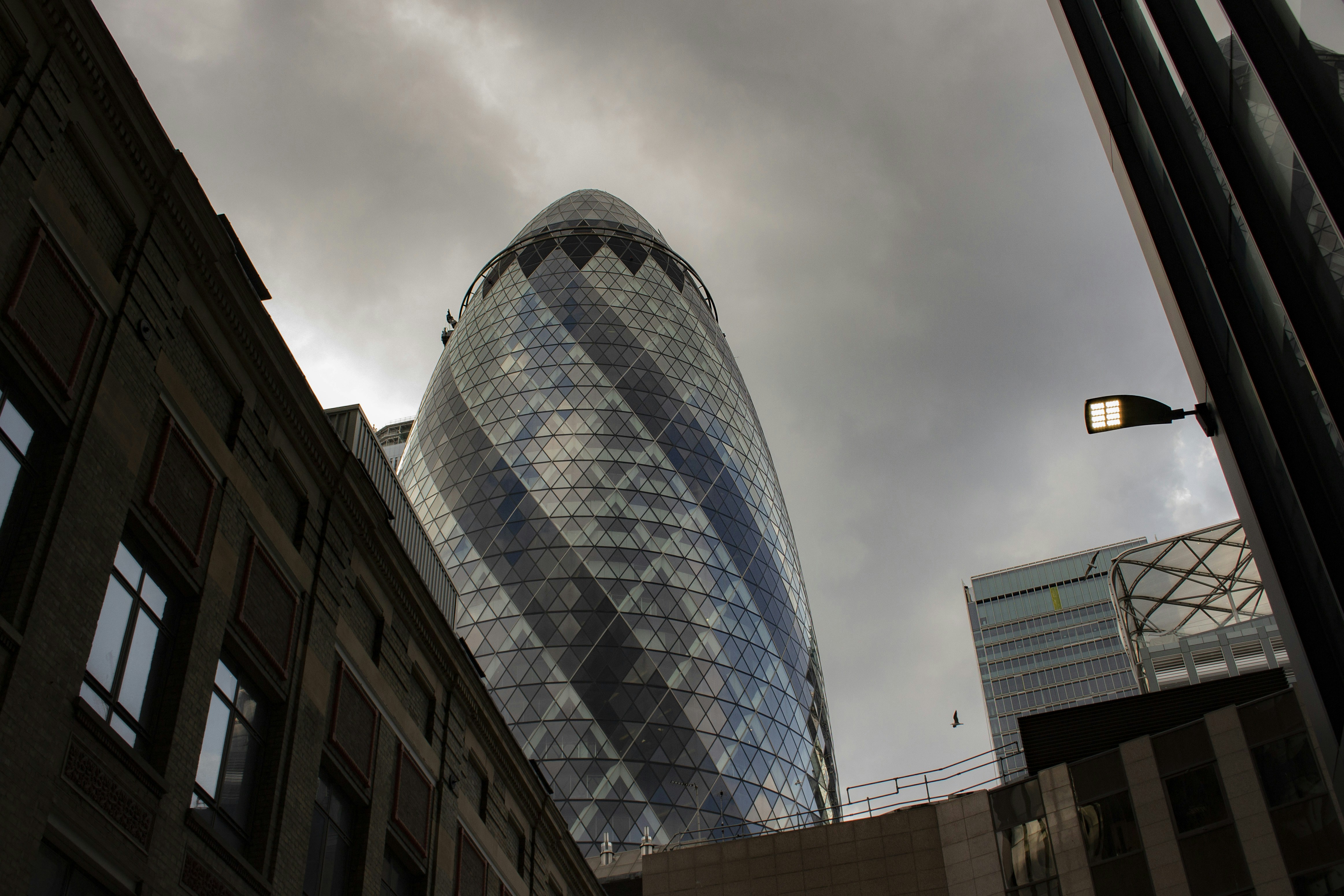 Photo by robin___the___bird