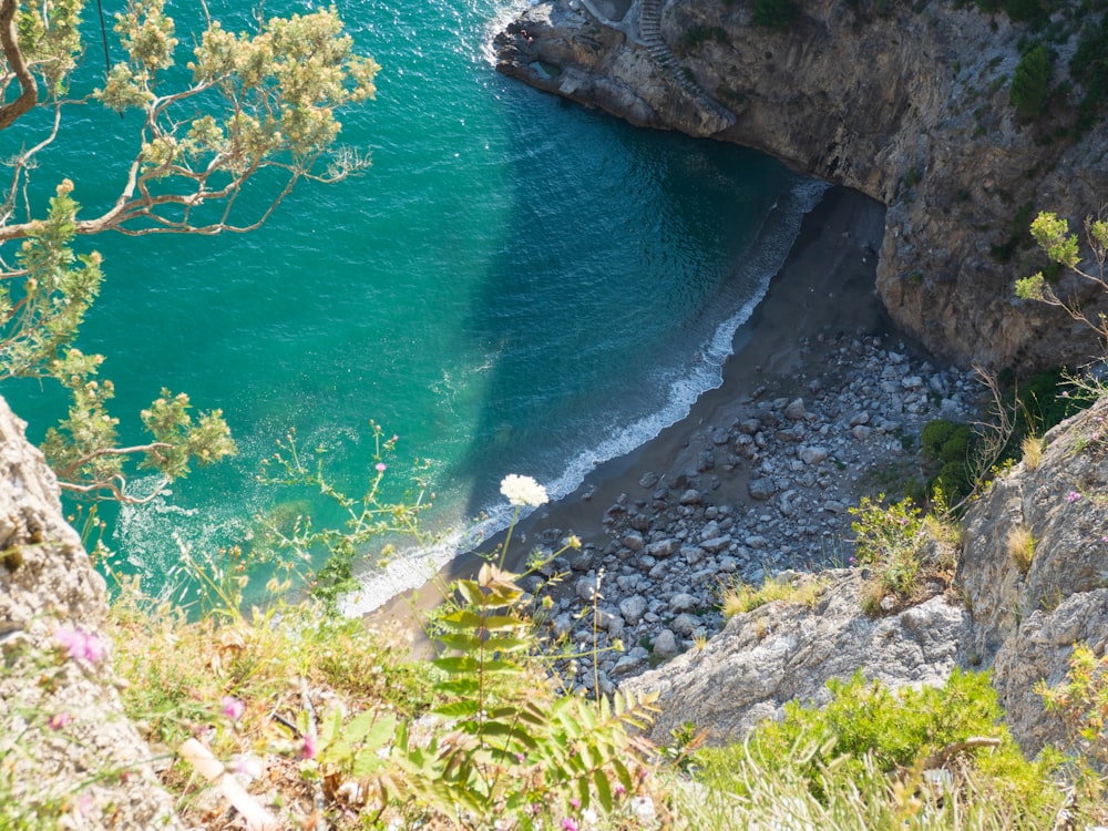 a body of water with rocks and plants around it