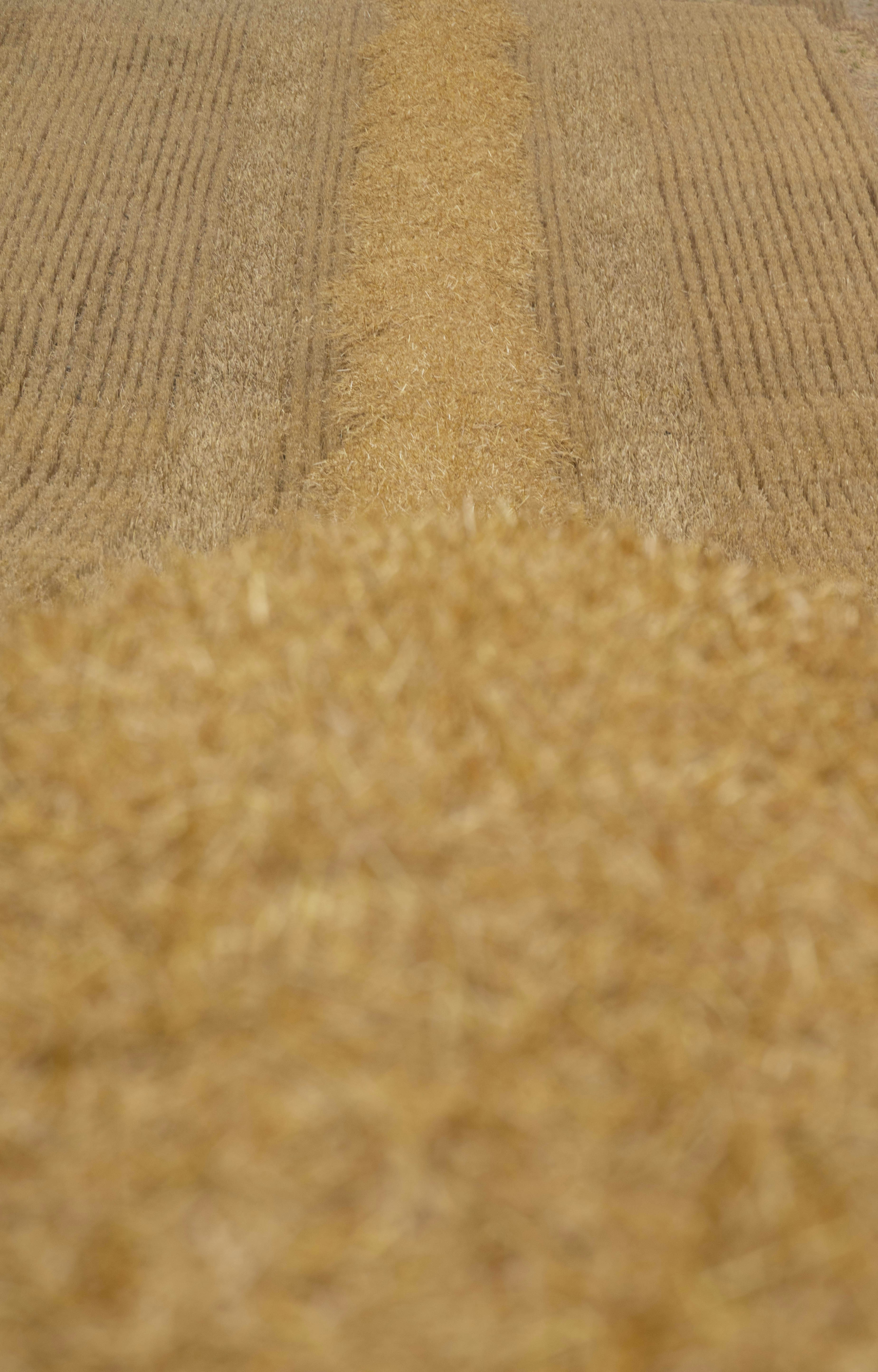 Photo by mirkofabian