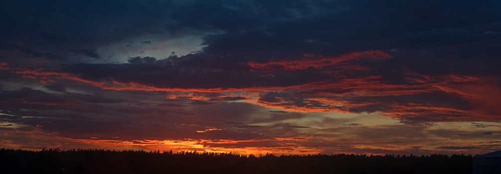 a sunset over a forest