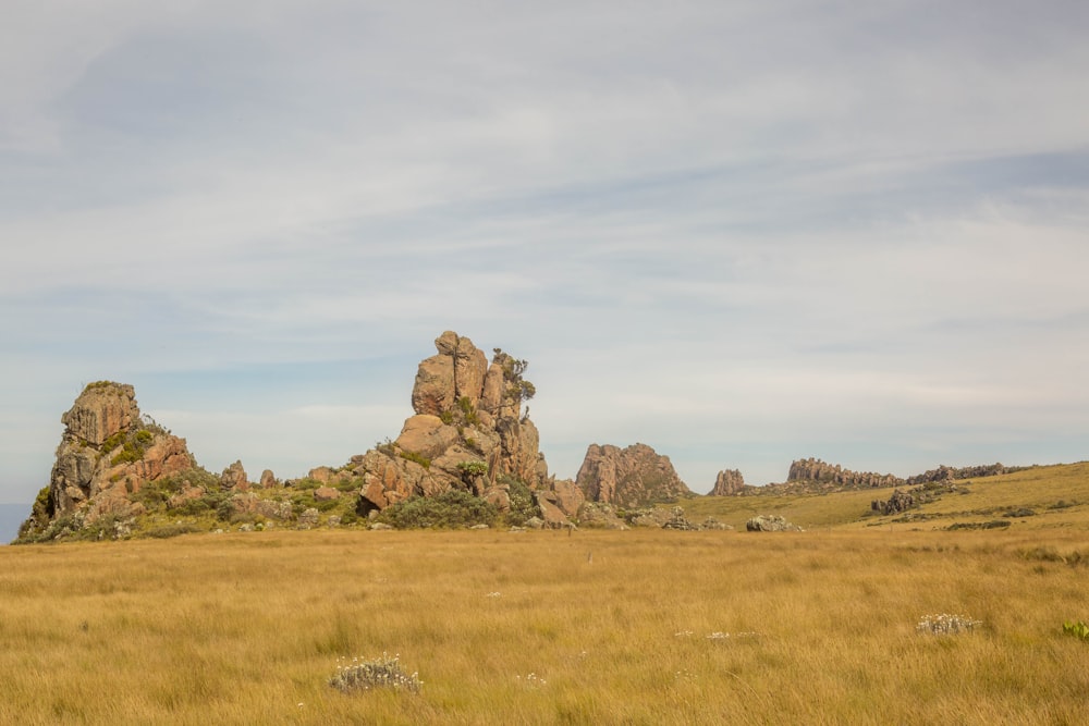 a grassy field with a rock formation in the distance
