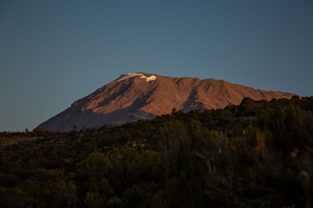 a mountain with trees in front of it