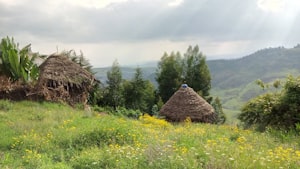 Harar