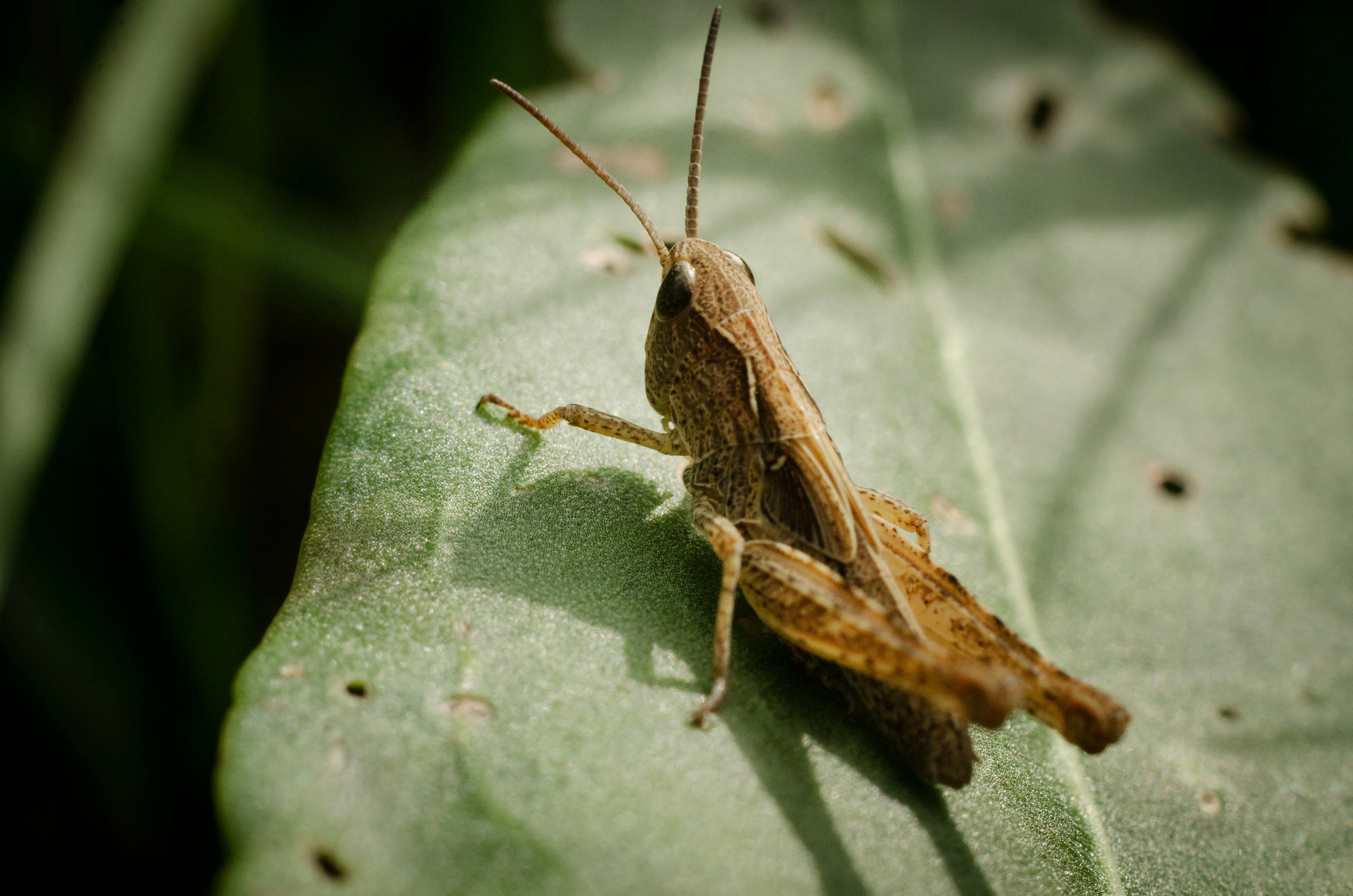 Photo by viktortalashuk