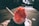 A vibrant red and white shaved ice dessert is served in a clear plastic bowl. It is sitting on a dark surface, likely a tray, with a wooden stick, possibly a spoon, inserted into it. The background is blurred, suggesting an outdoor setting with warm lighting and shadow patterns on a paved surface.