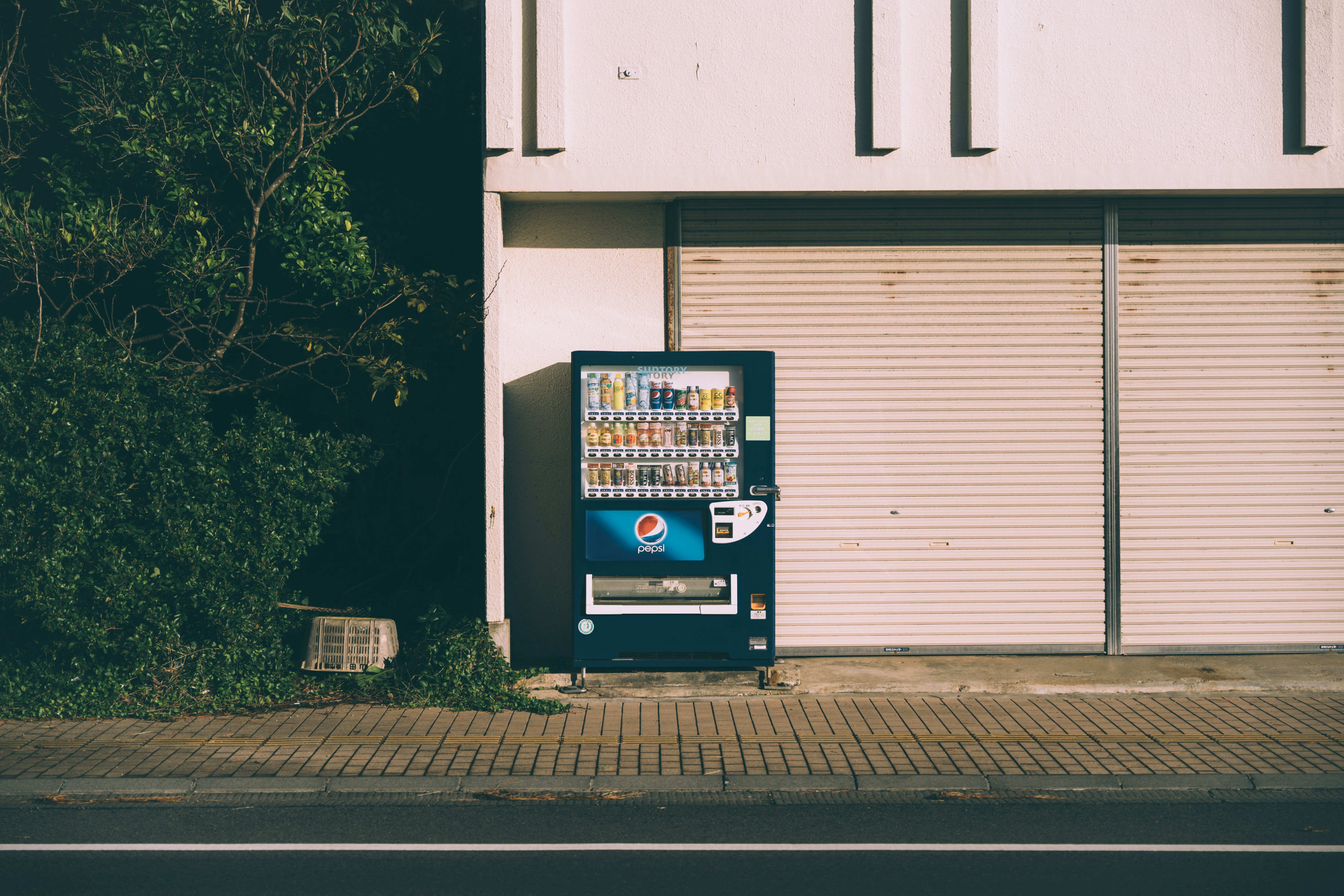 Photo by paracetamol