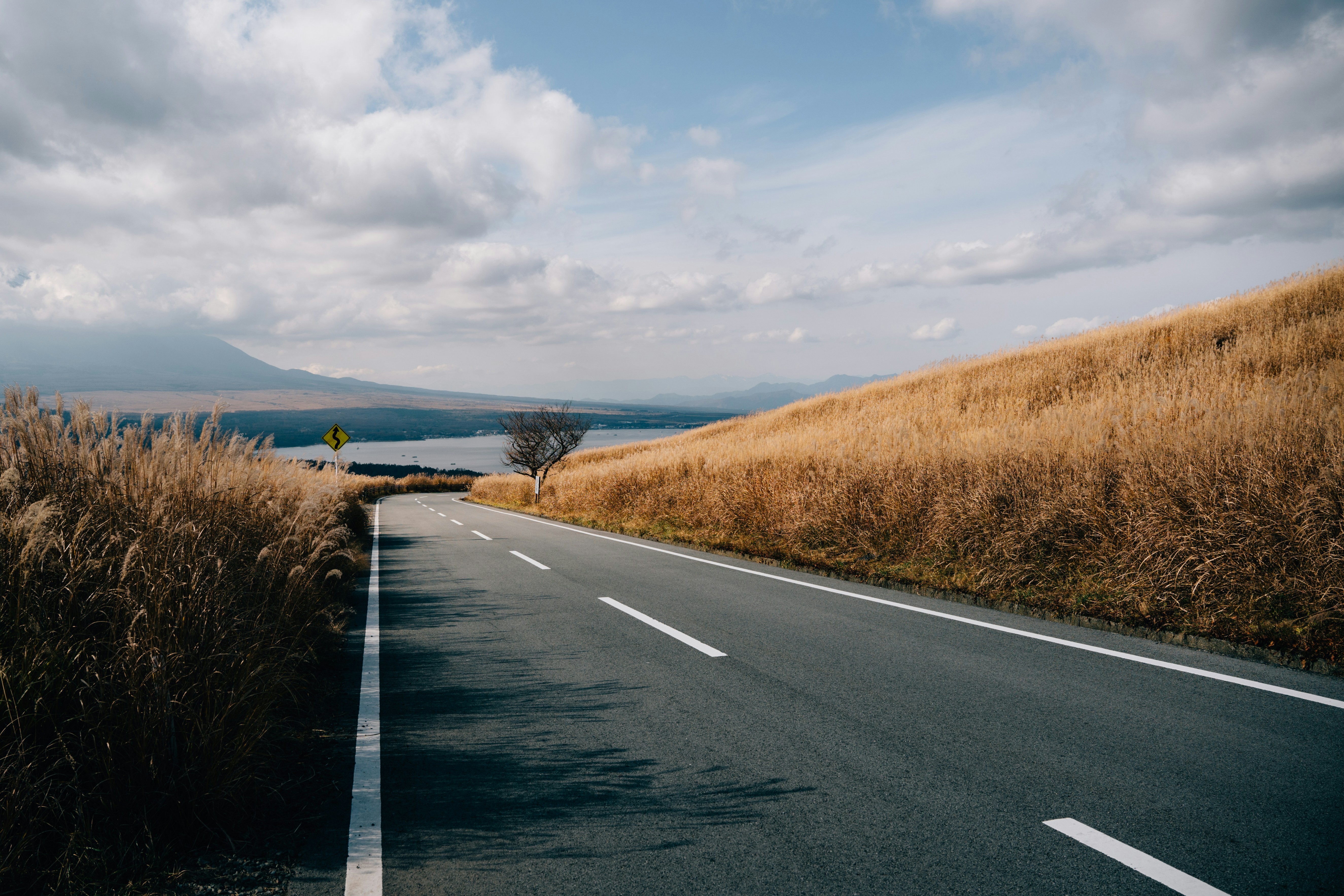 Photo by paracetamol