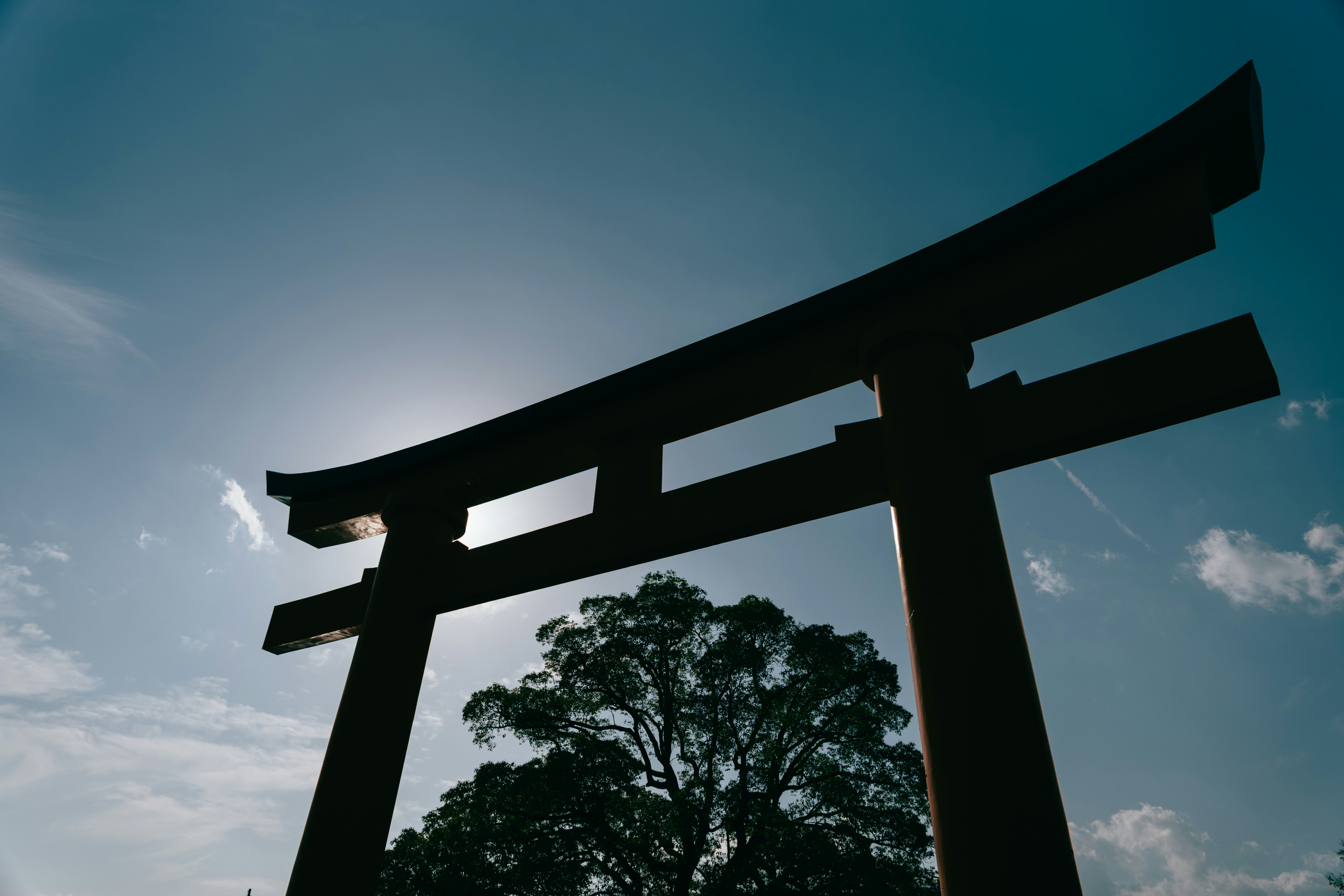 Photo by paracetamol