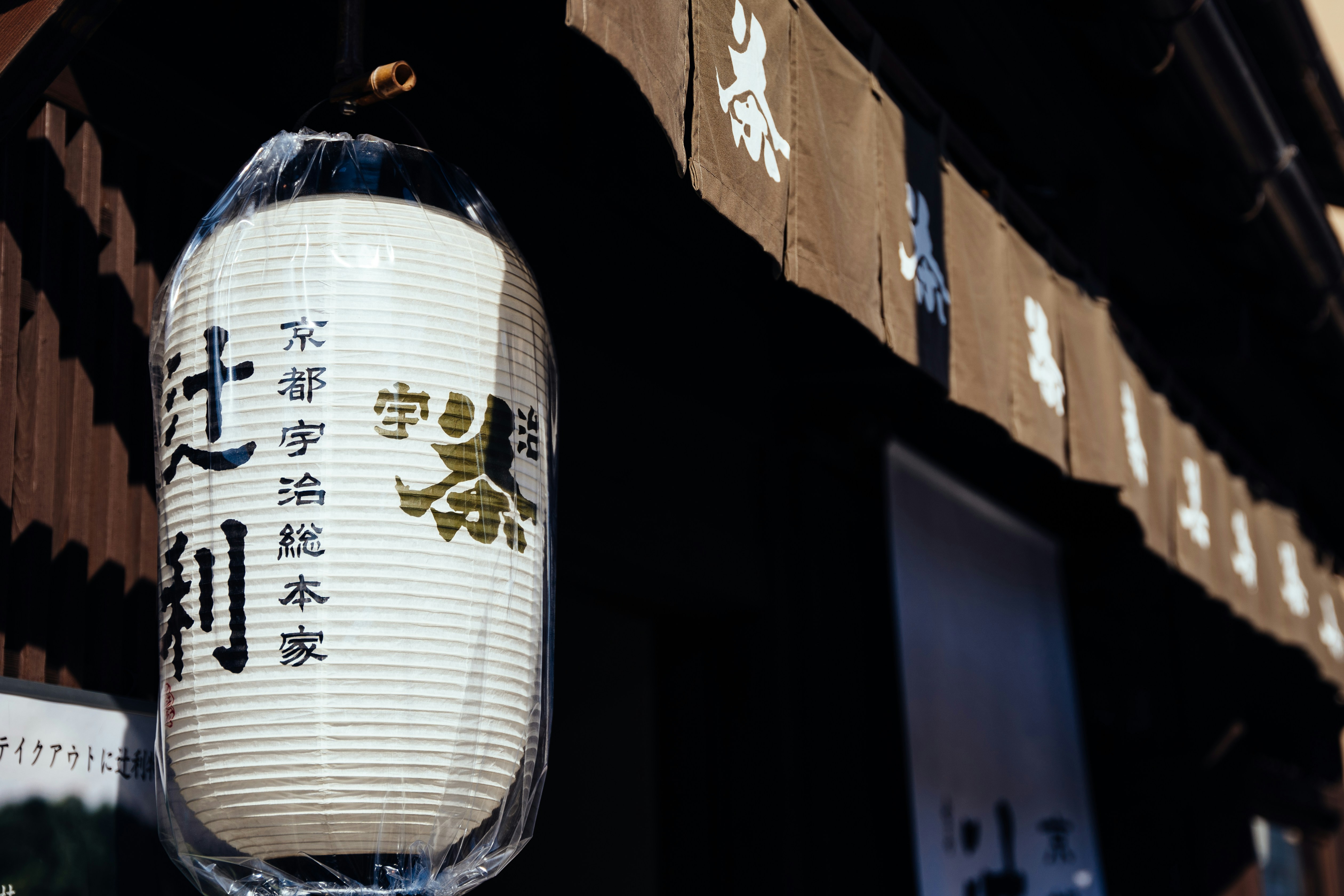 Photo by paracetamol