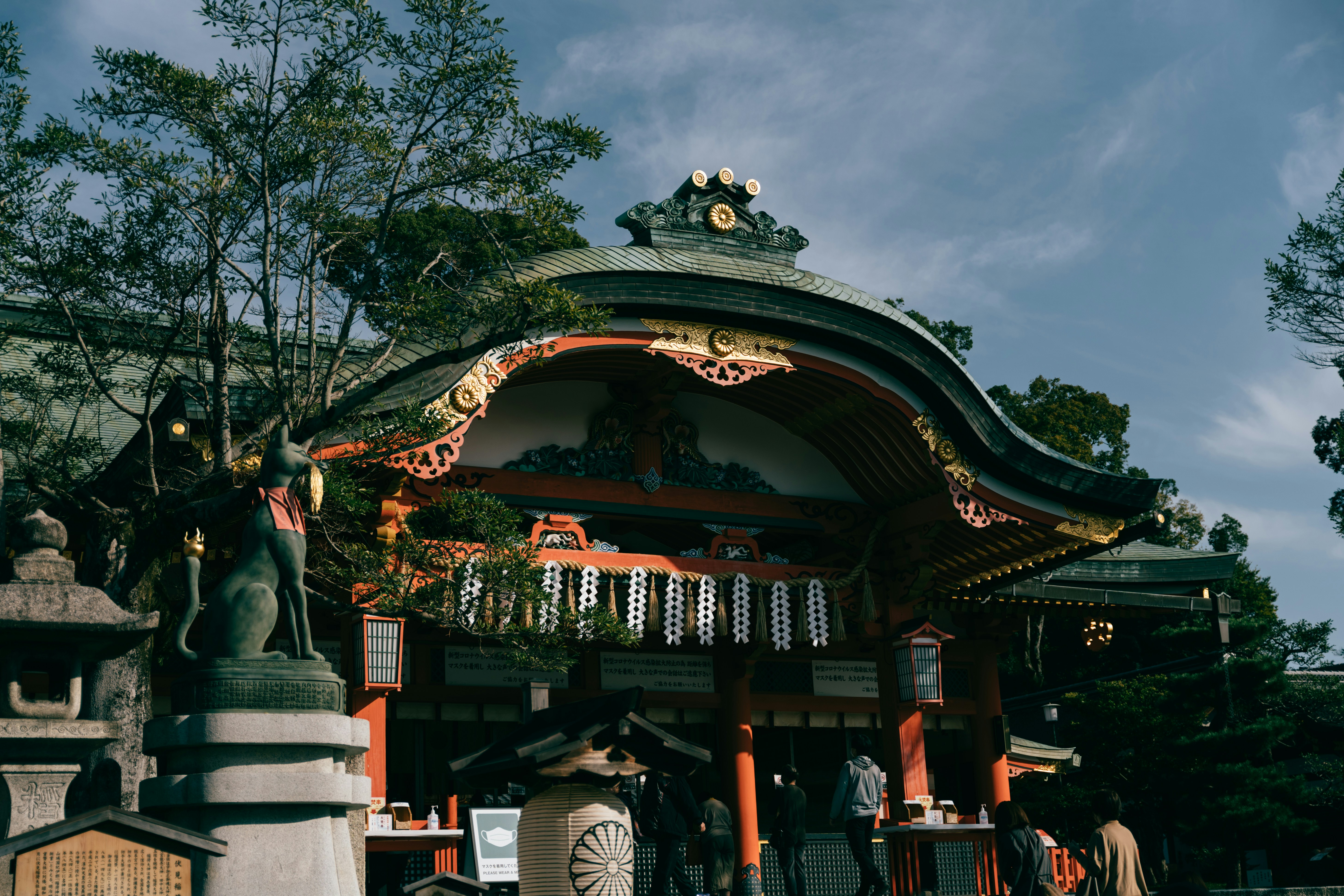 Photo by paracetamol