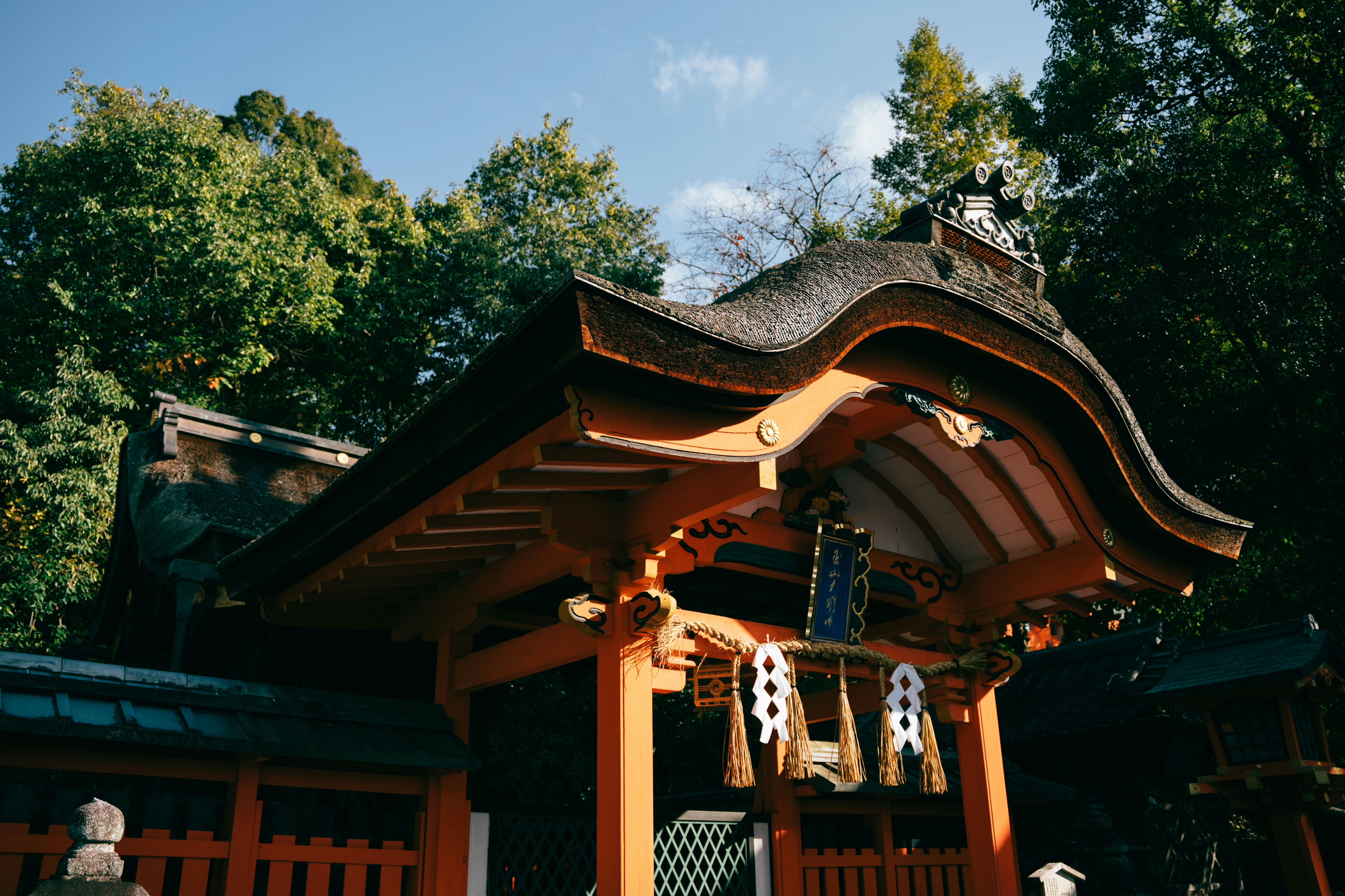 Photo by paracetamol