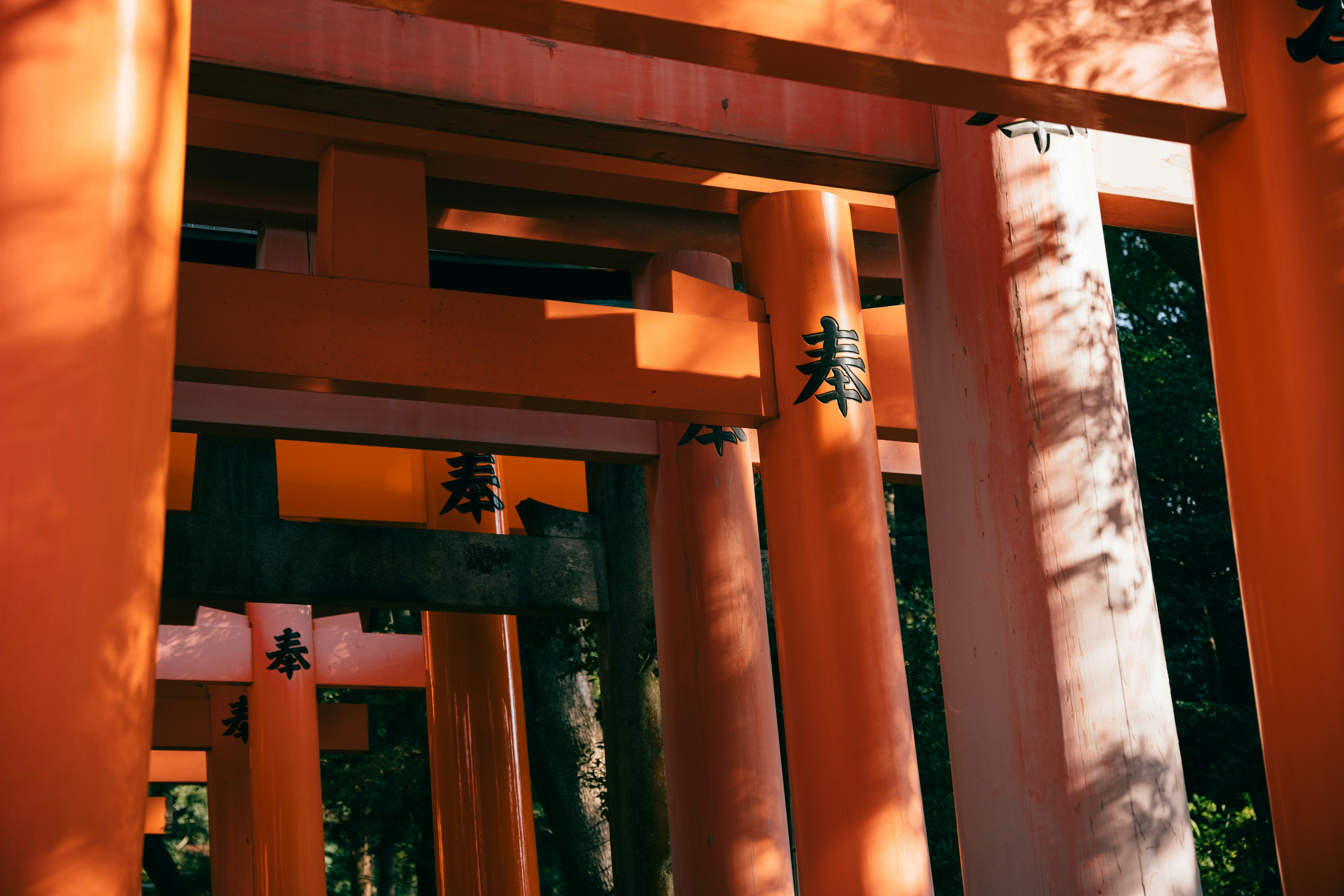 Photo by paracetamol