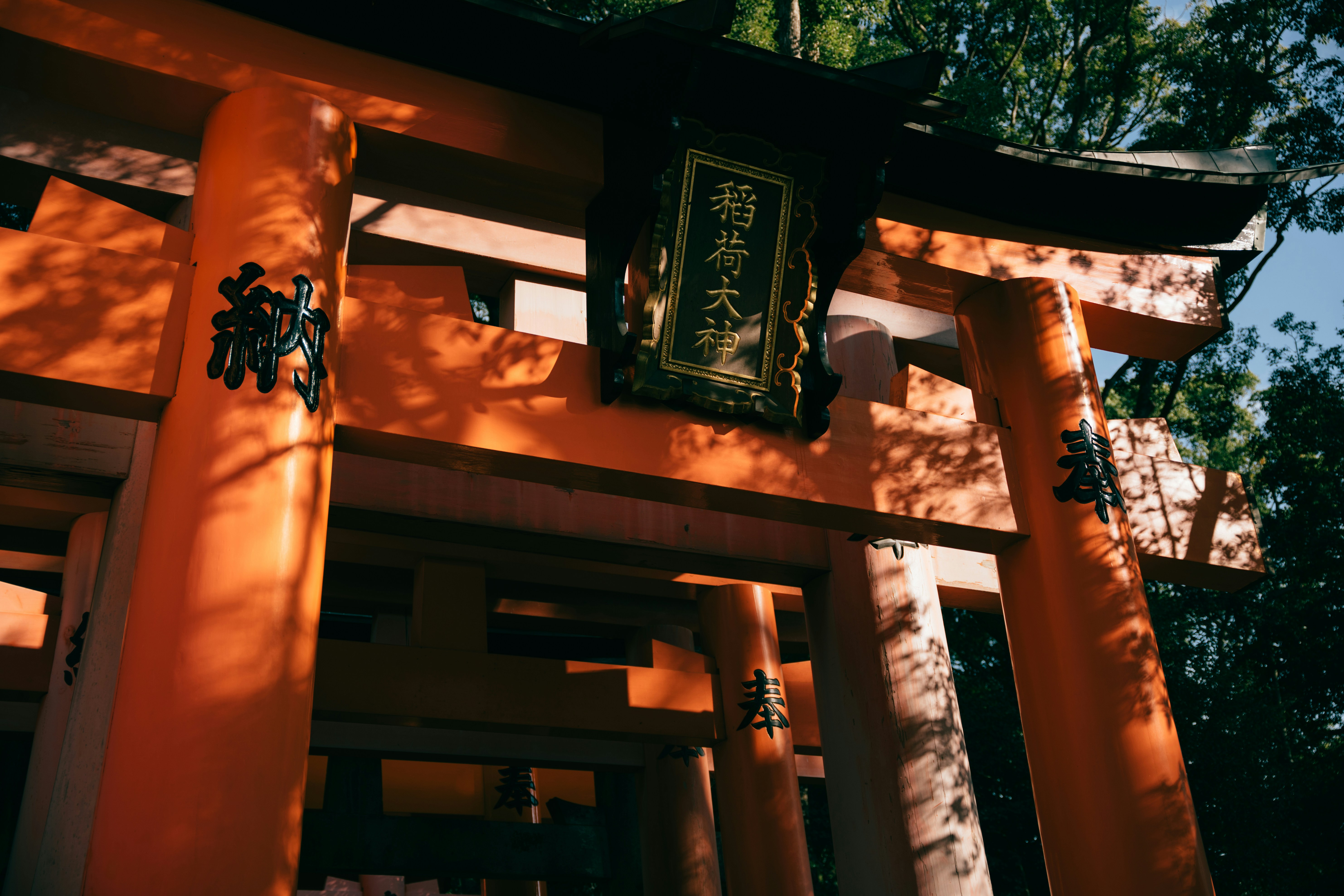 Photo by paracetamol