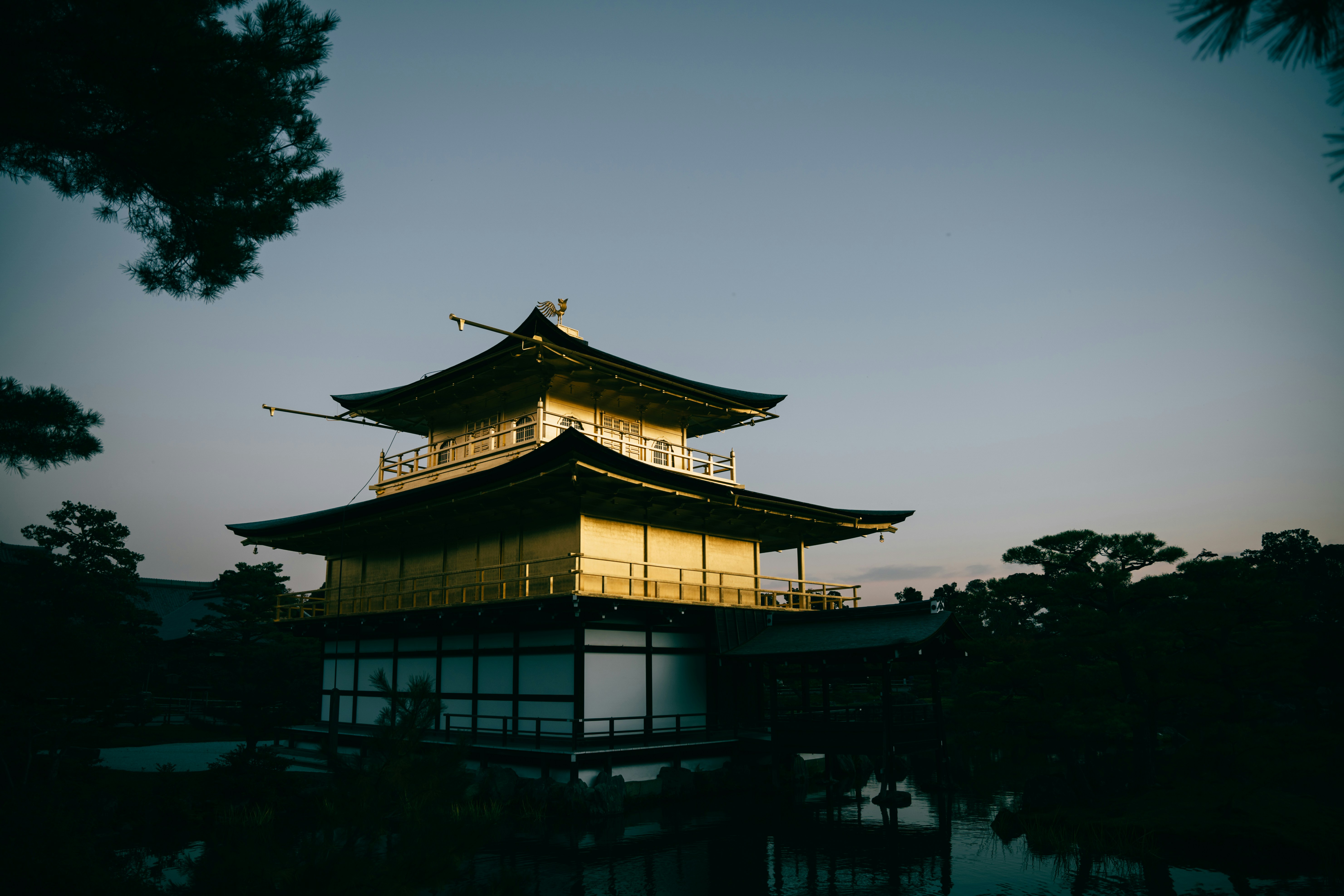 Photo by paracetamol