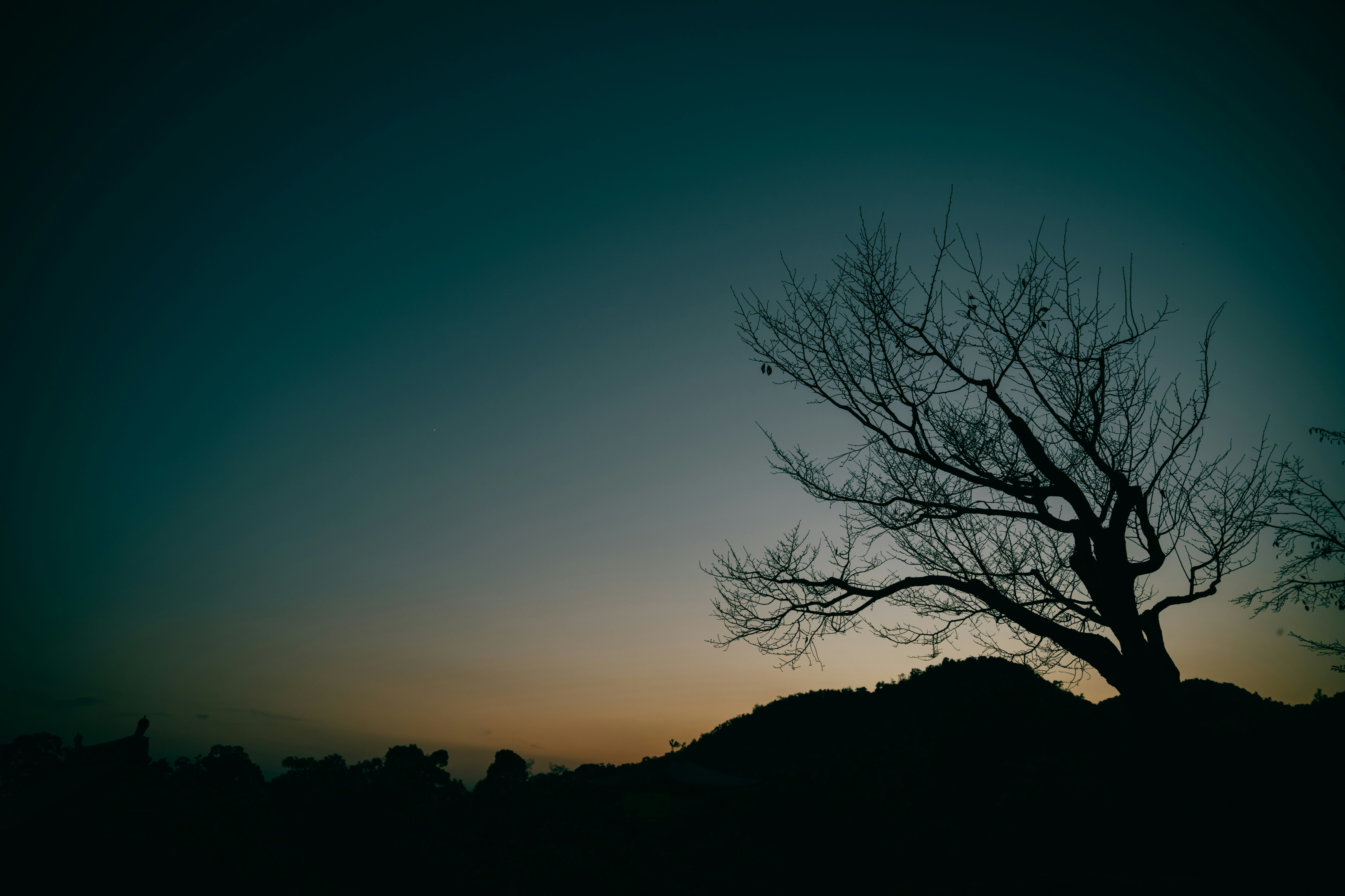 Photo by paracetamol