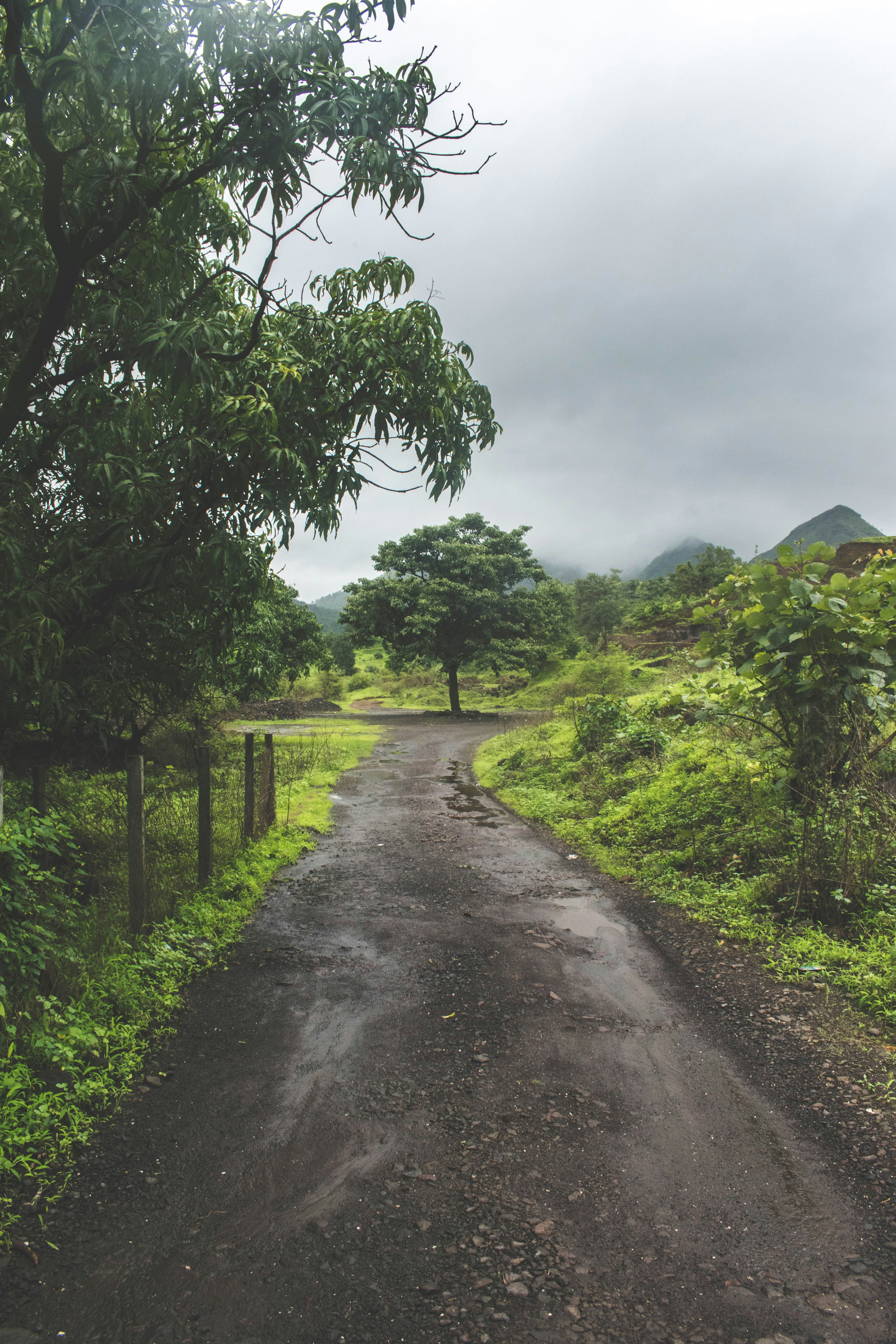 Photo by adityachache