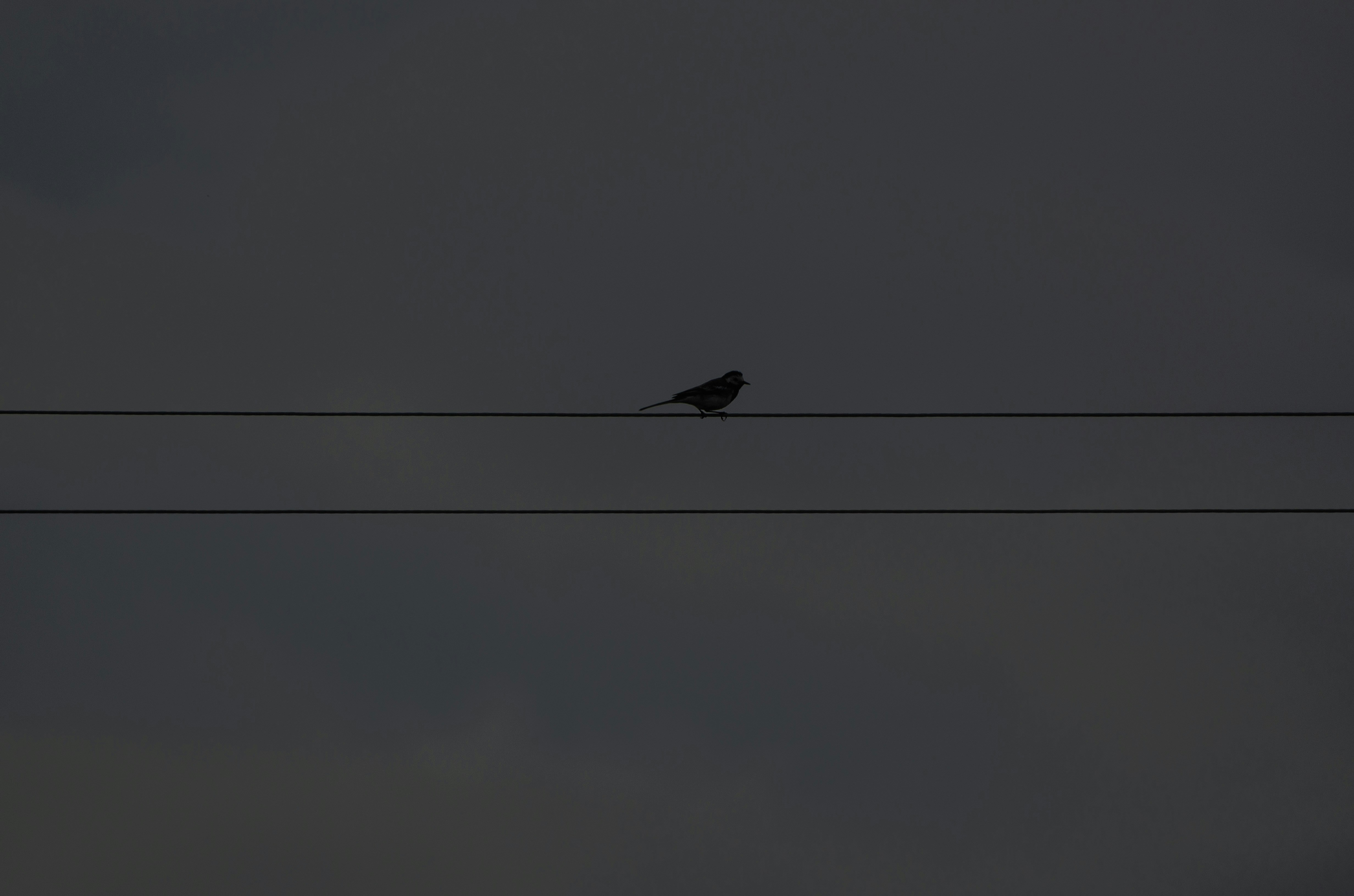 Photo by viktortalashuk