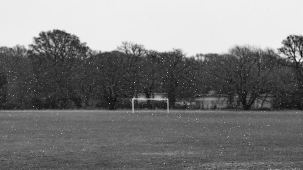 a field with trees in the background