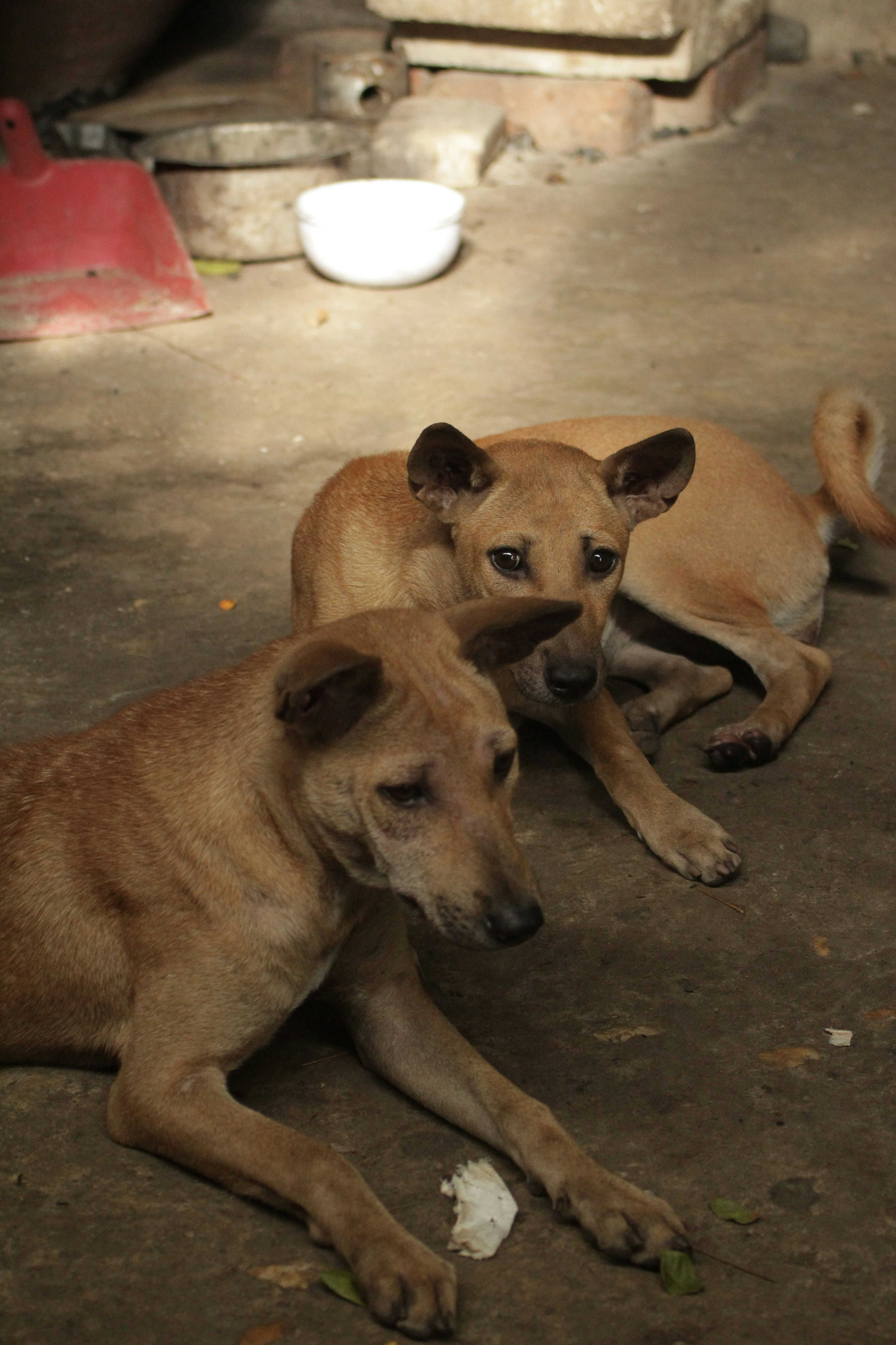 Photo by aungmyat1995