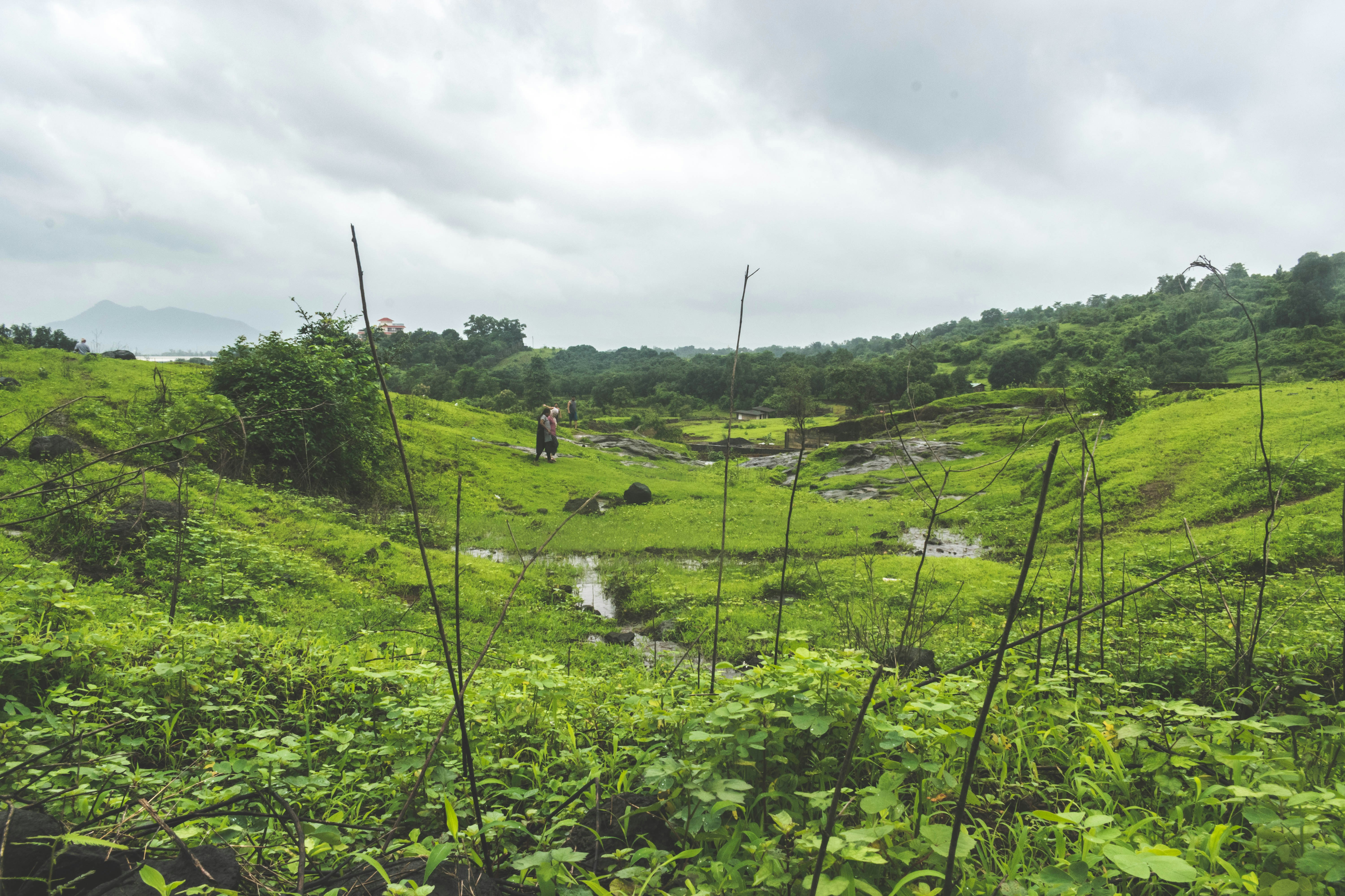 Photo by adityachache