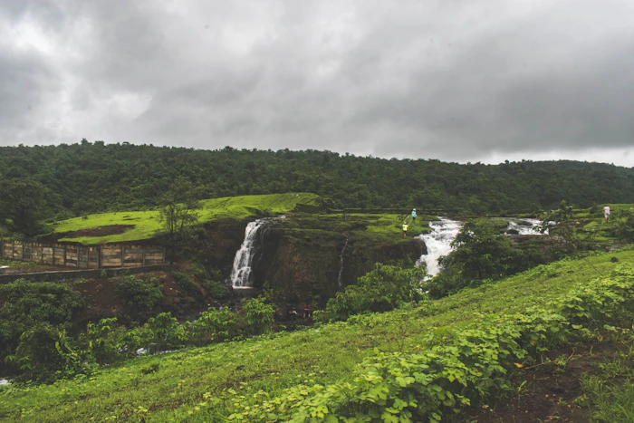 Eco Friendly Resorts