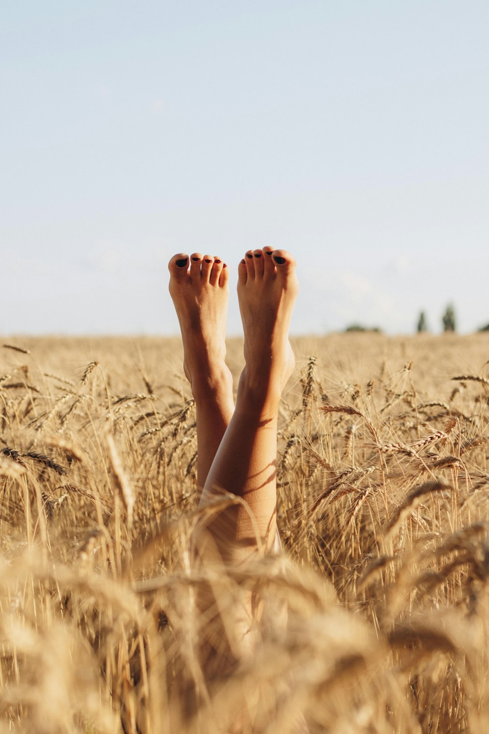 a person's feet in a wheat field