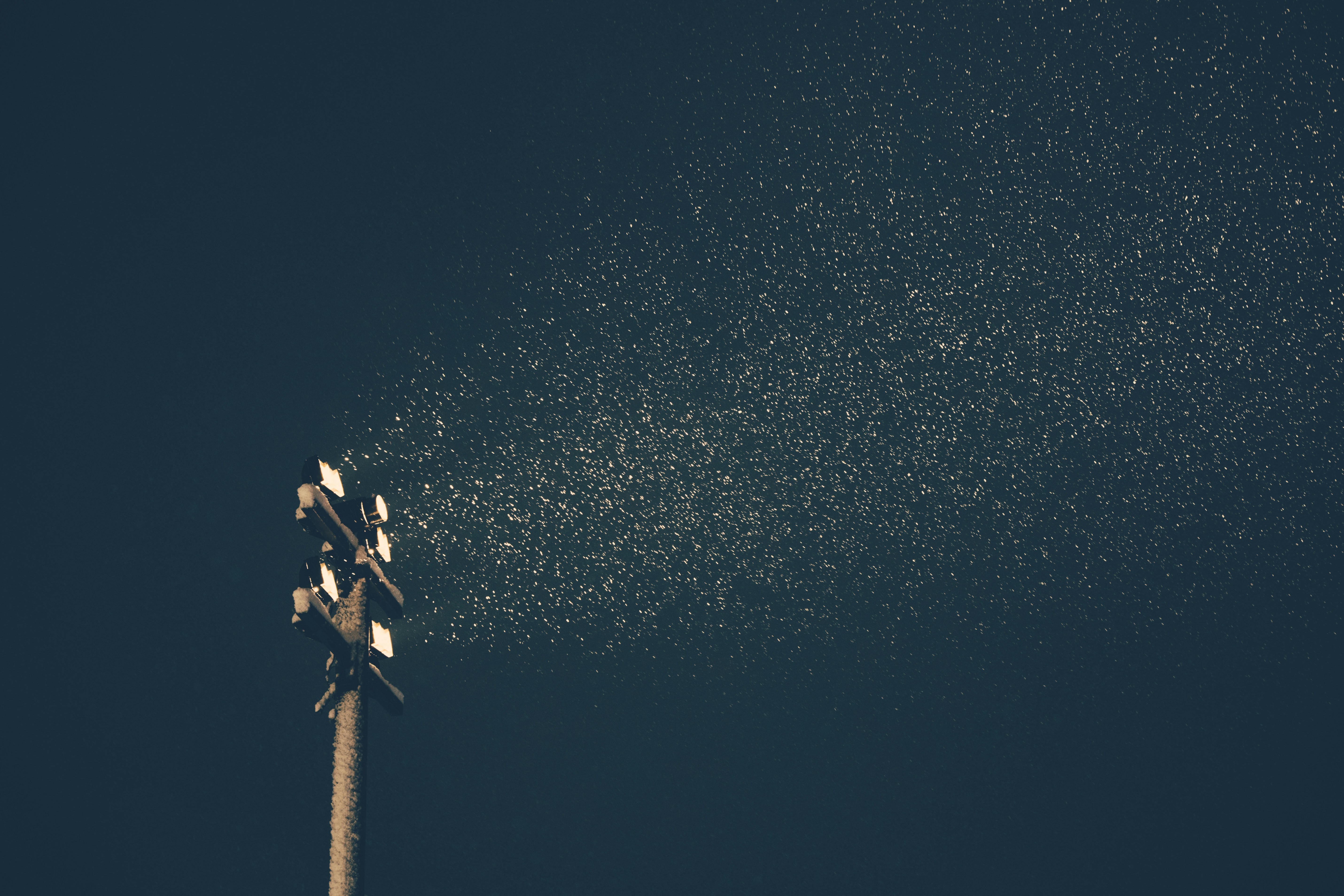 a close-up of a tree branch with snow on it