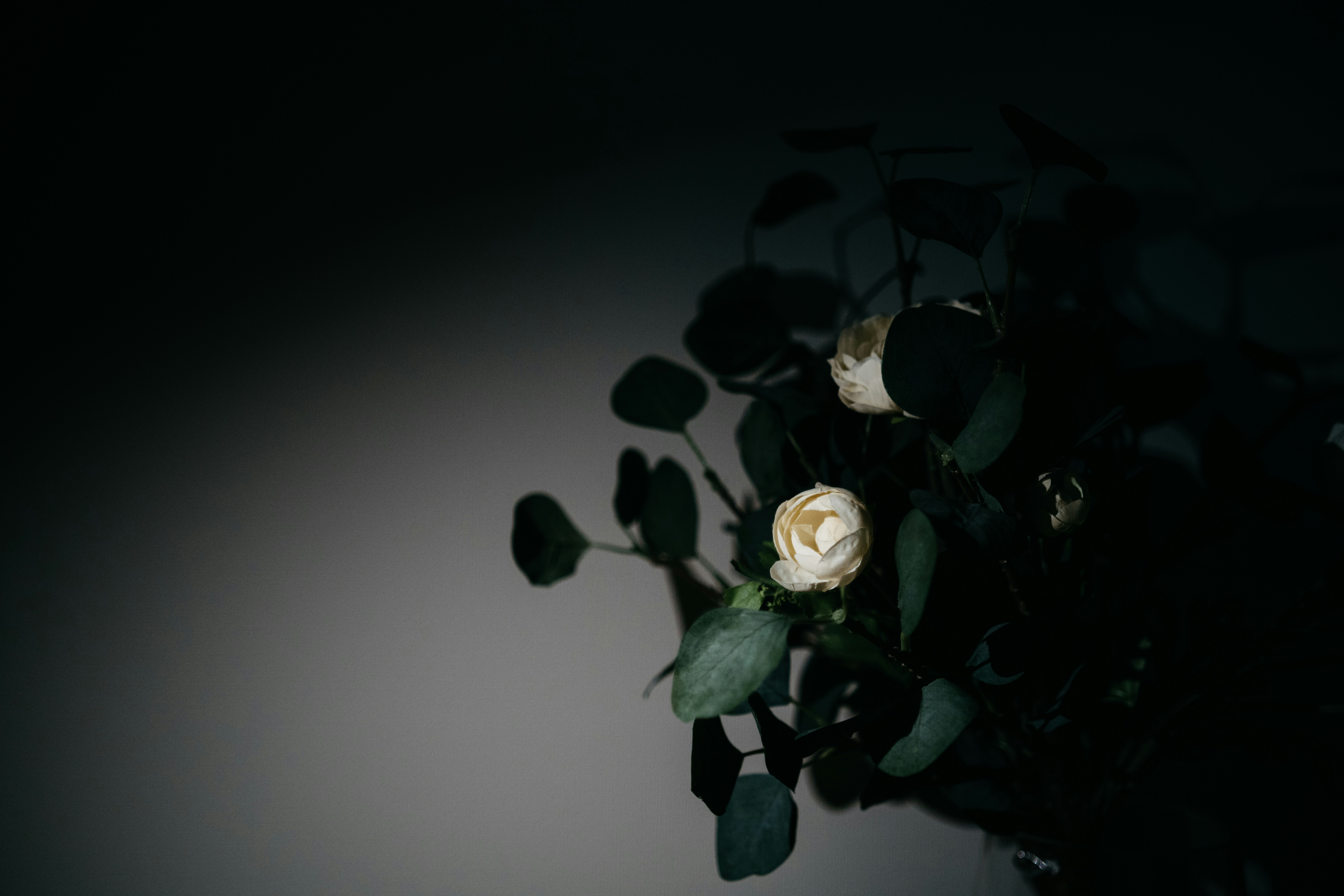 Photo by paracetamol