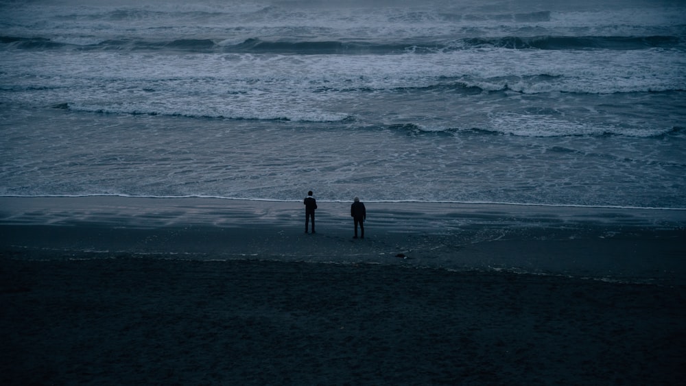 people walking on the beach