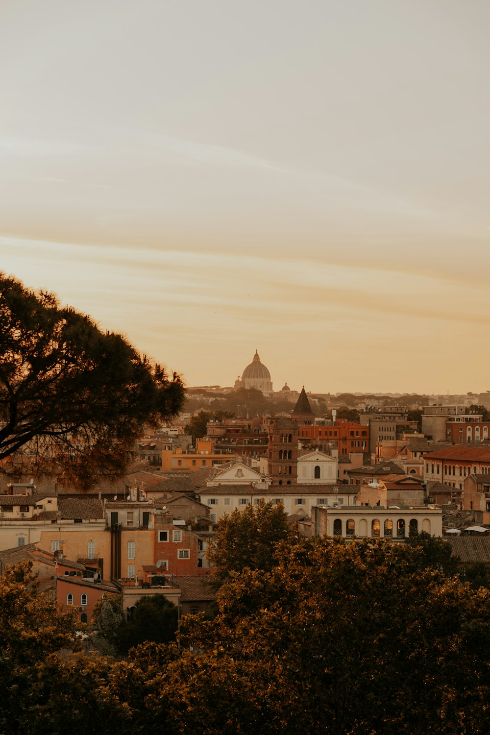 a city with trees and buildings