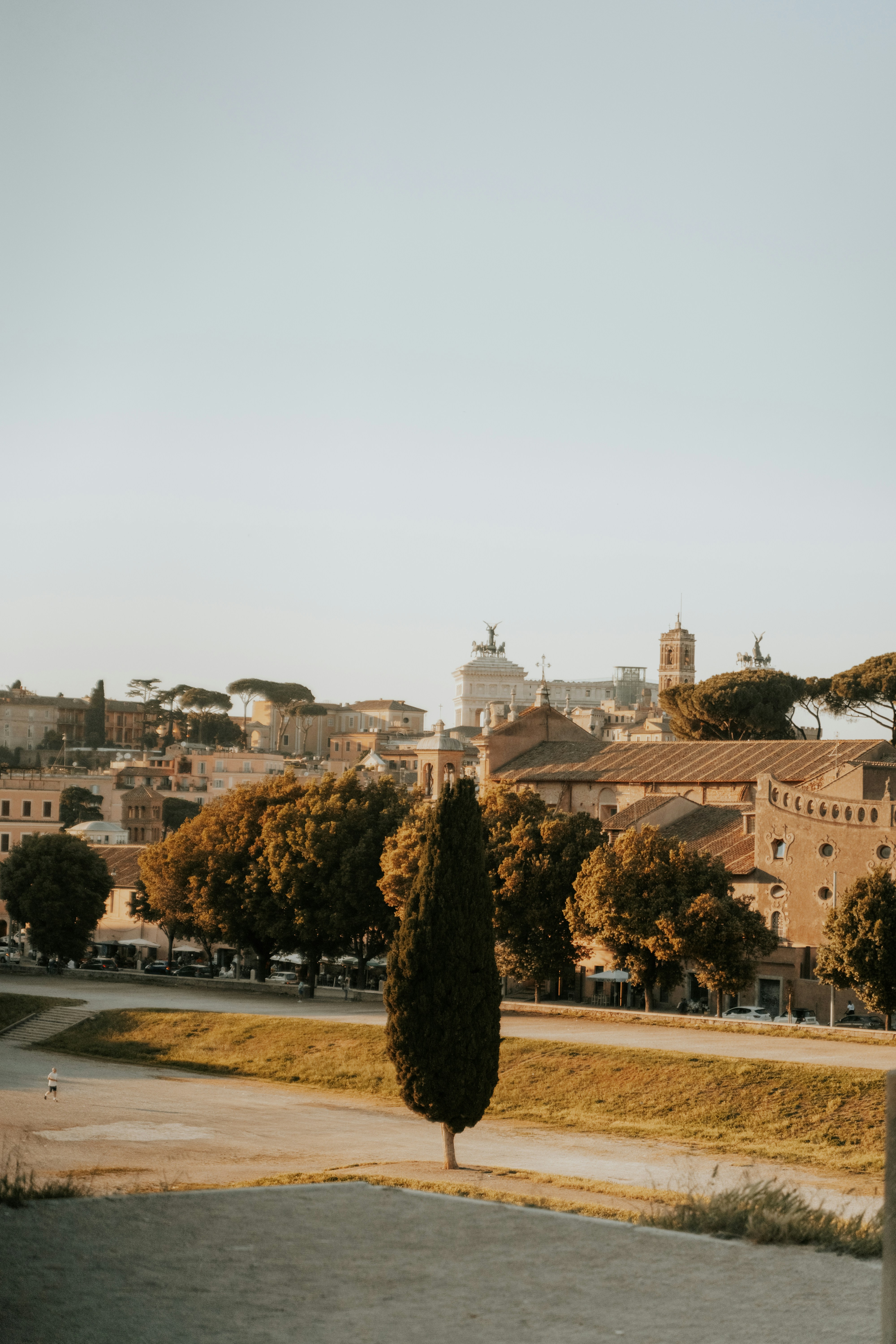 a city with trees and buildings
