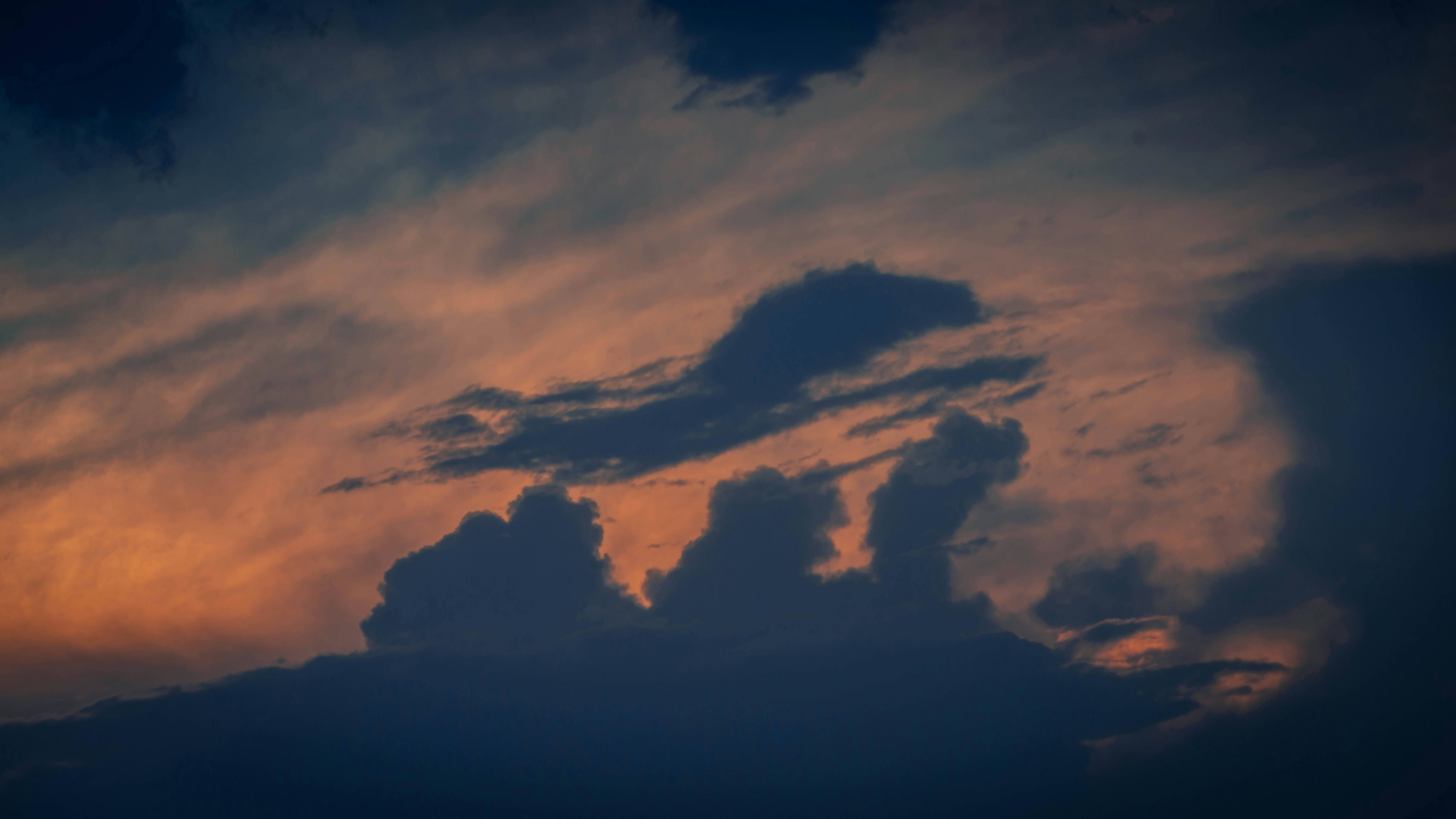 Photo by peek_a_boo_who