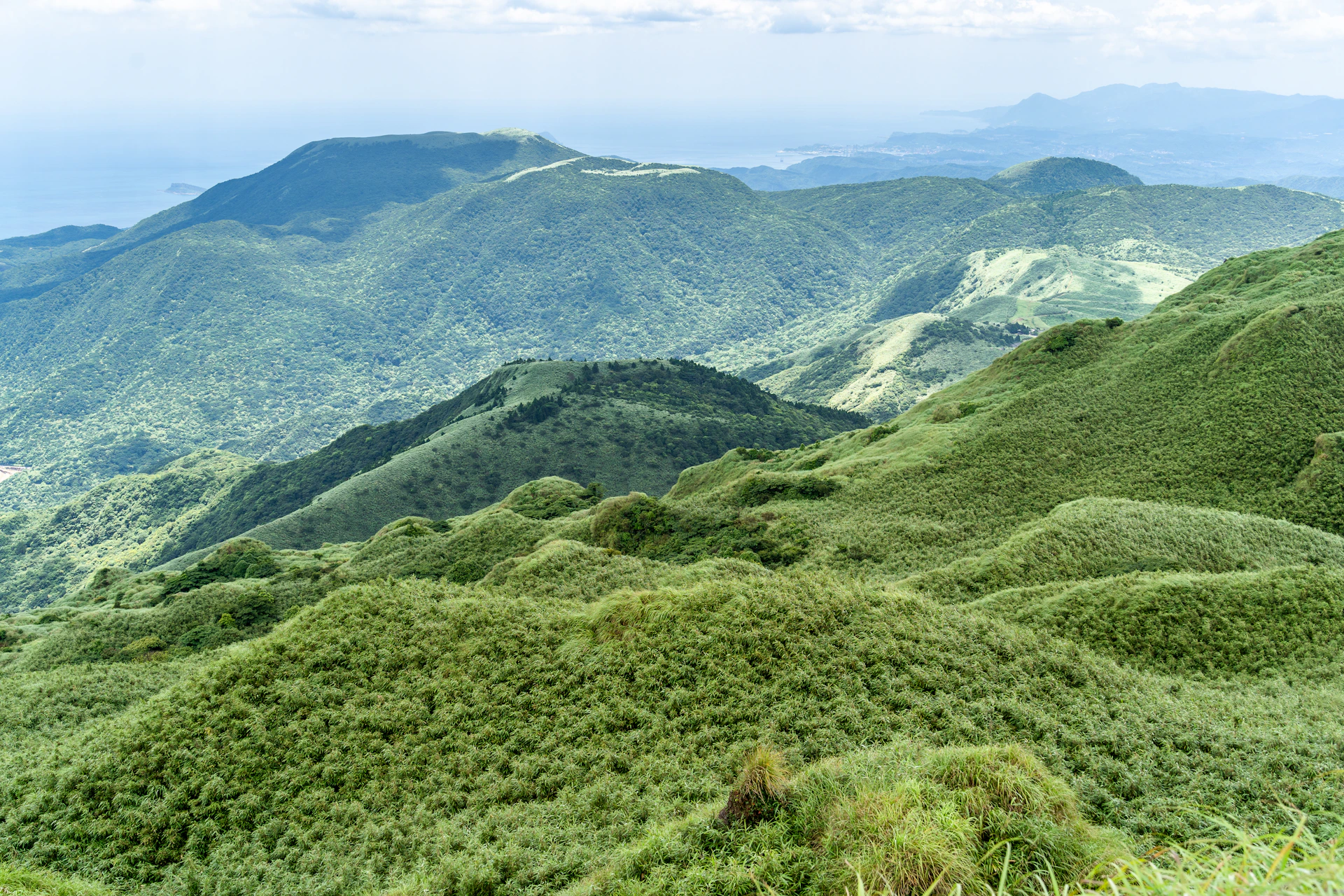 a green valley with mountains in the background