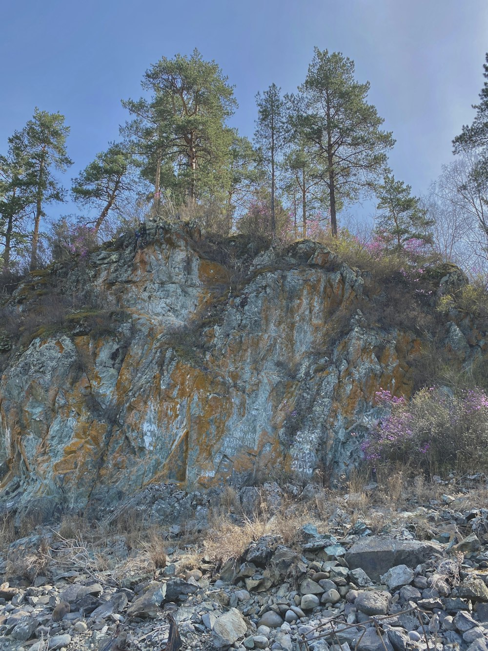 a rocky hillside with trees