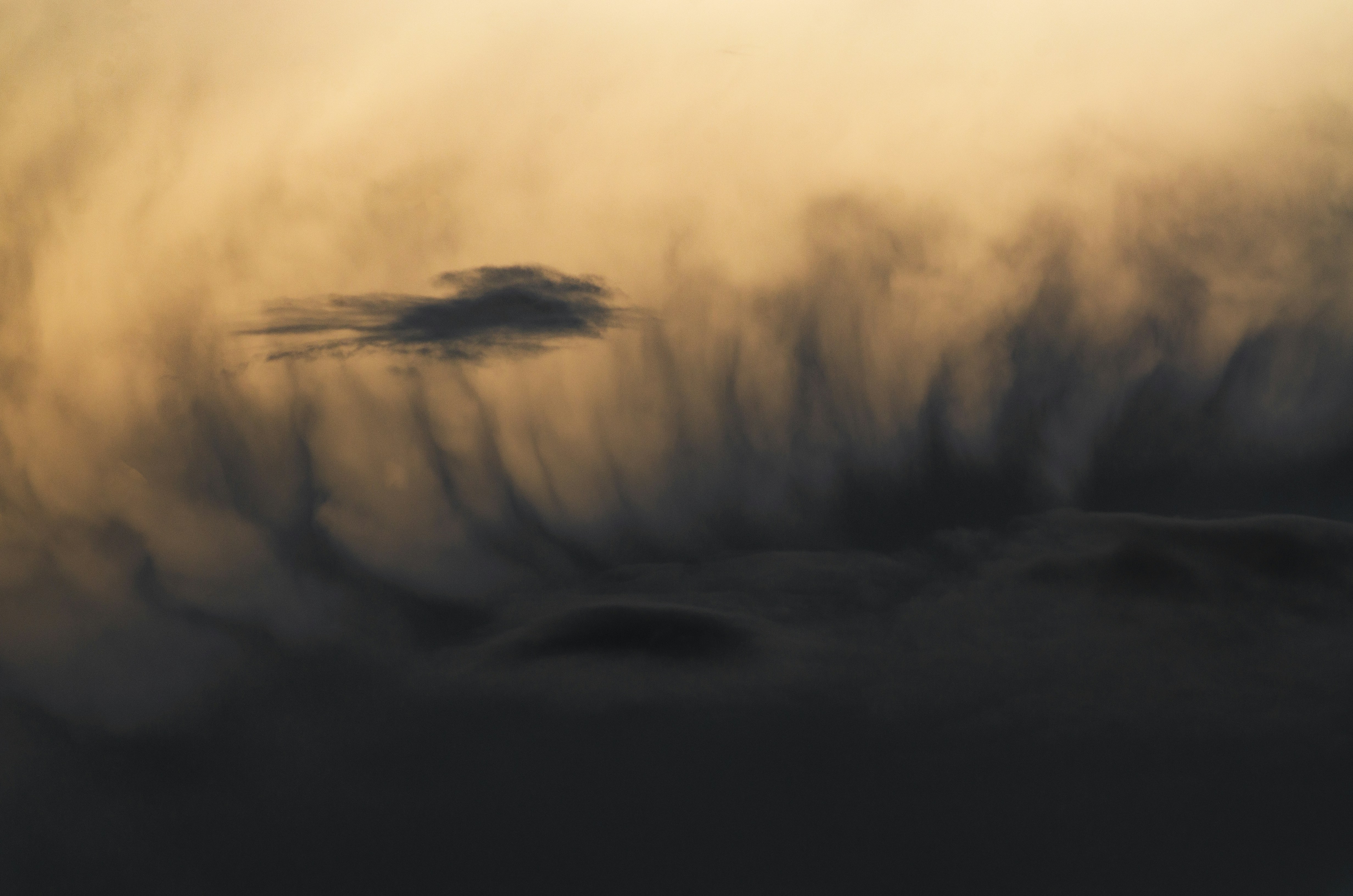 Photo by viktortalashuk